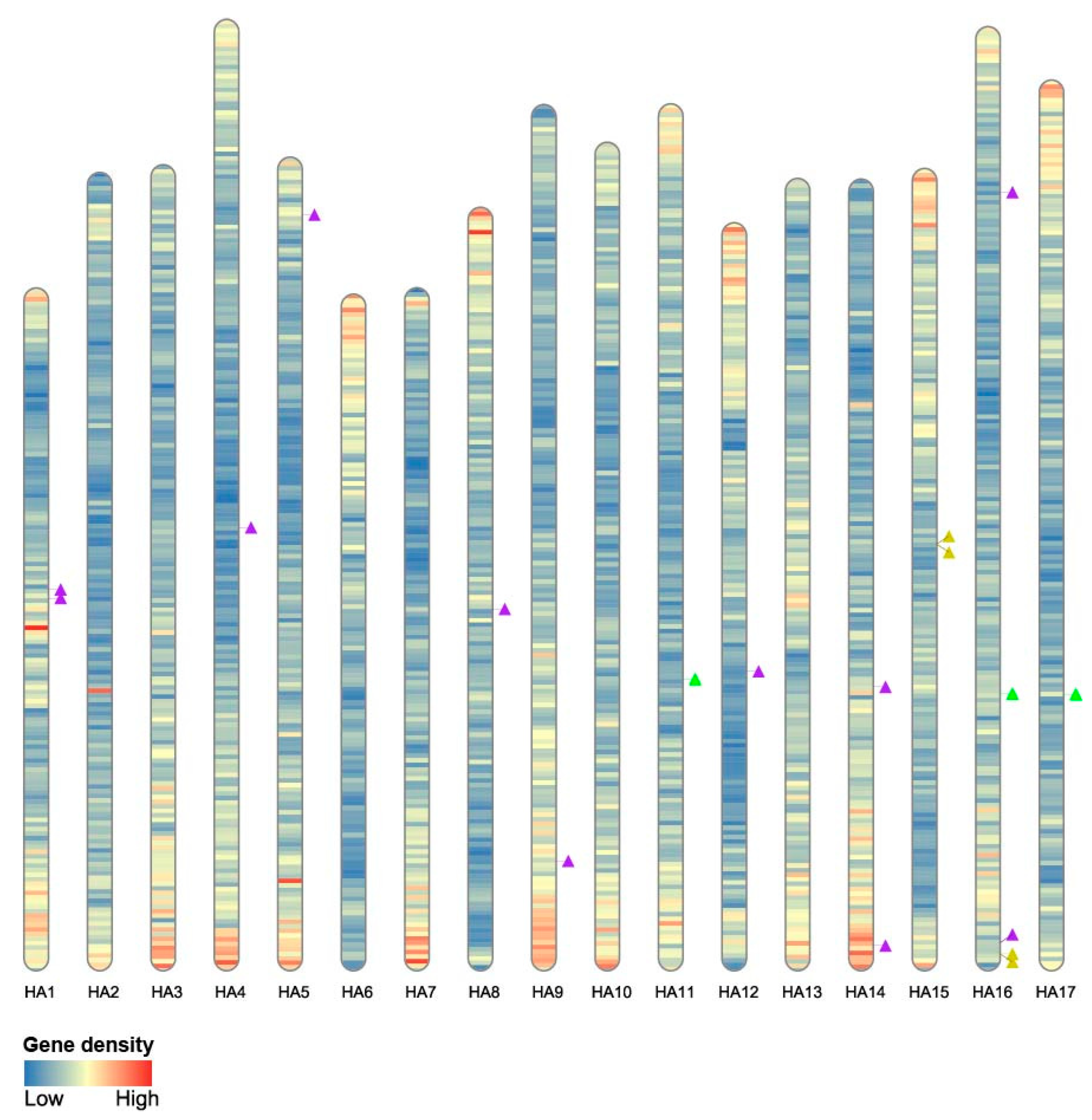 Ijms 24 03352 g002 Ijms 24 03352 g002