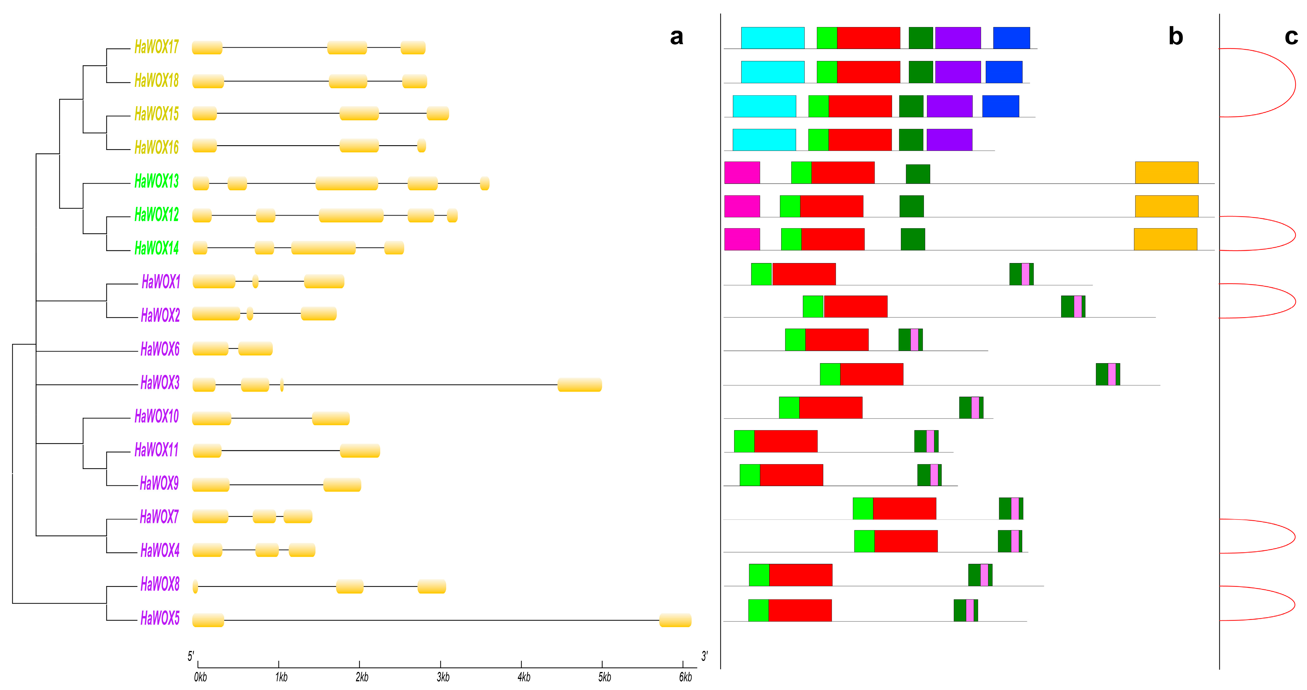 Ijms 24 03352 g004 Ijms 24 03352 g004