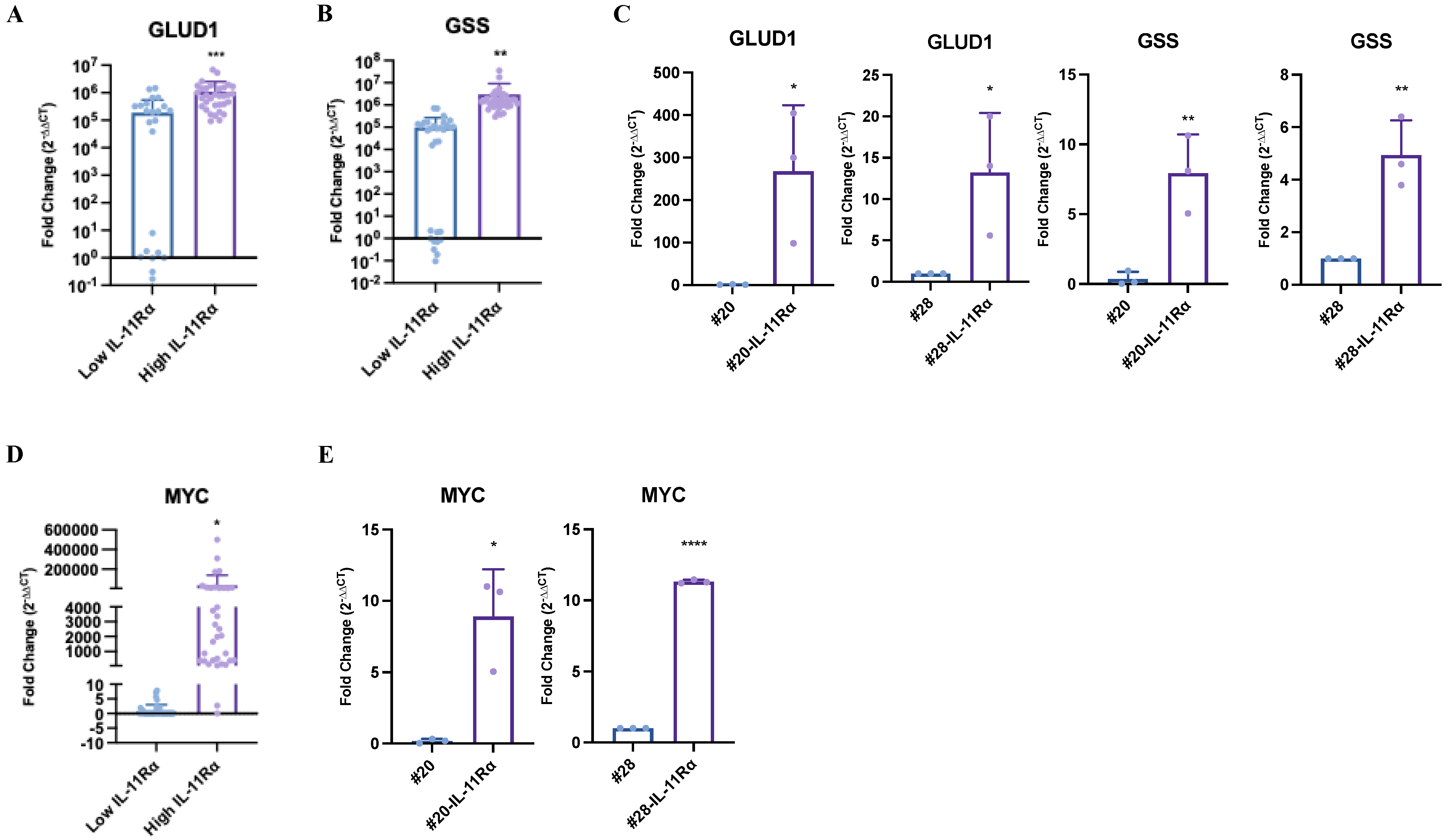 Ijms 24 03356 g005 Ijms 24 03356 g005