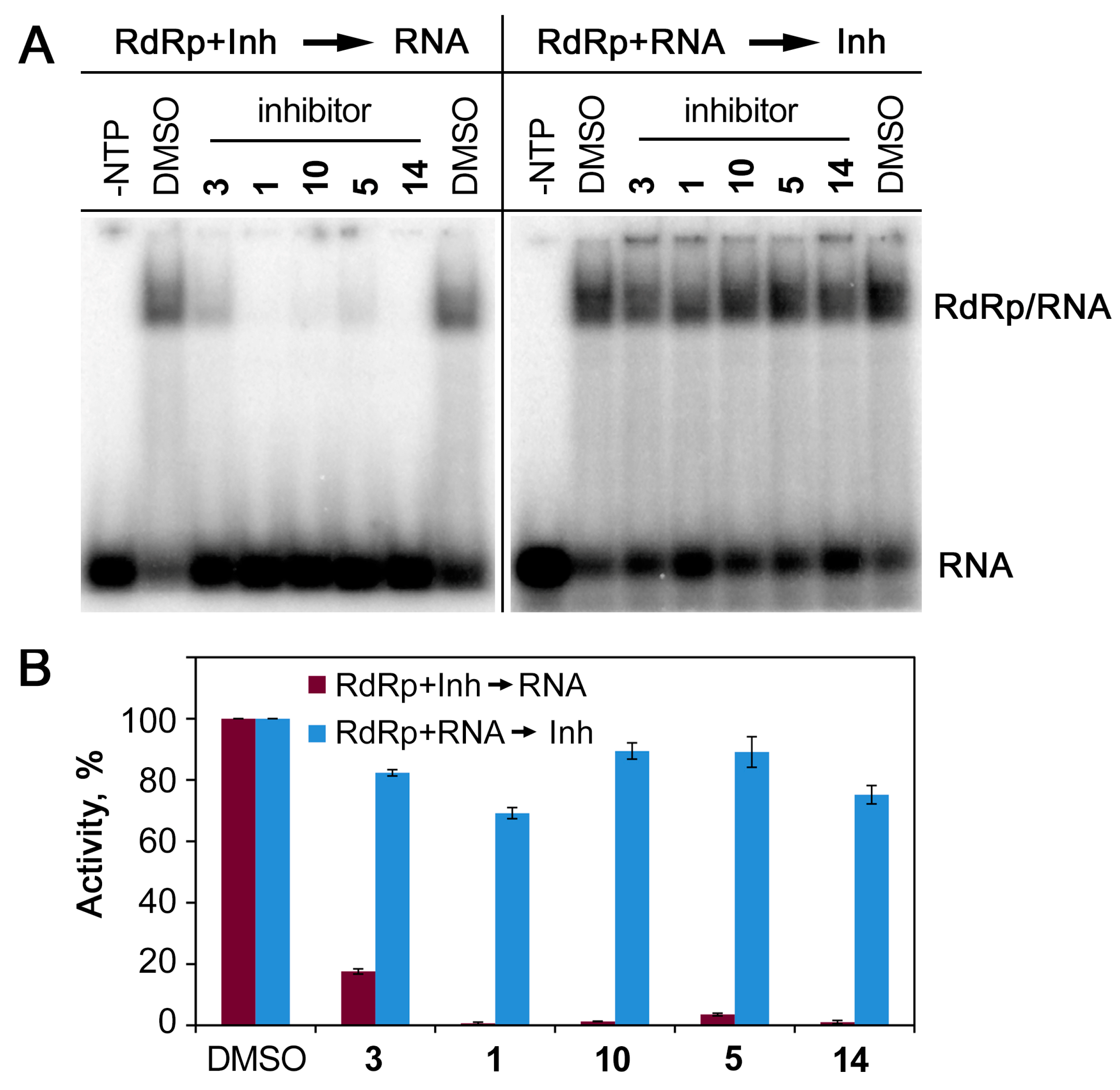 Ijms 24 03361 g004 Ijms 24 03361 g004