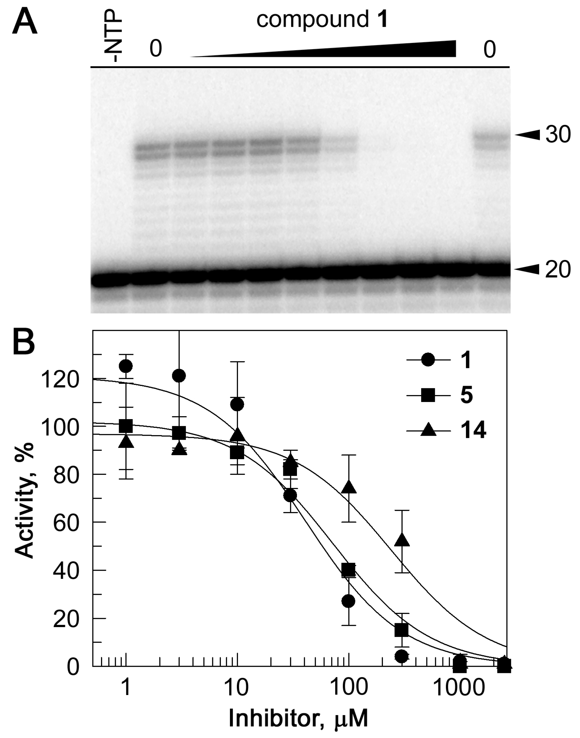 Ijms 24 03361 g005 Ijms 24 03361 g005