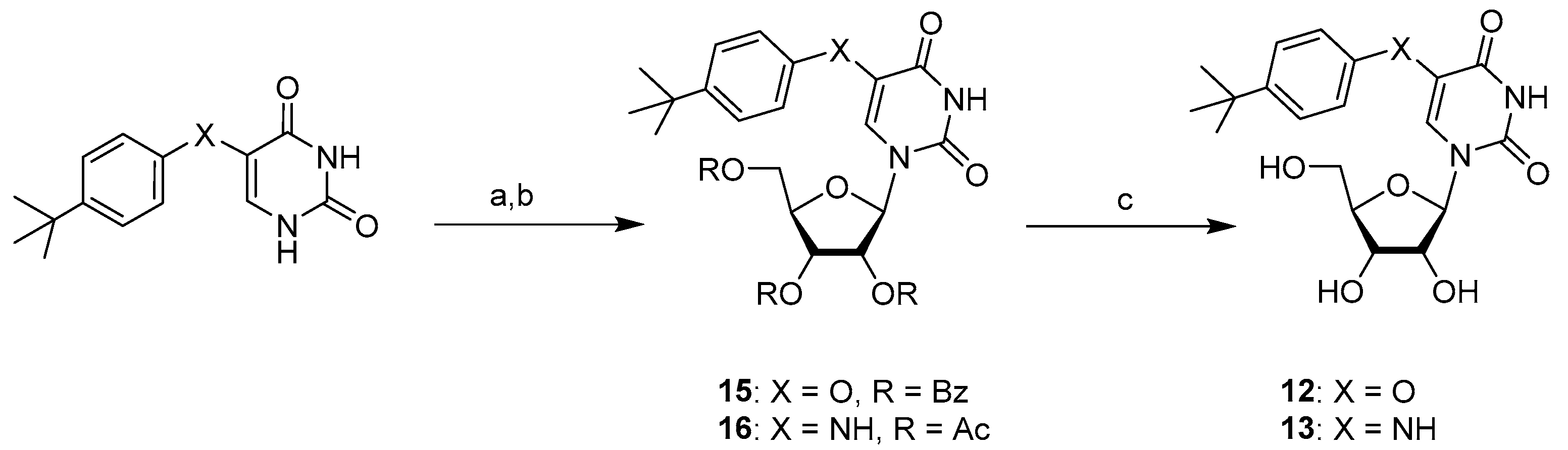 Ijms 24 03361 sch001 Ijms 24 03361 sch001
