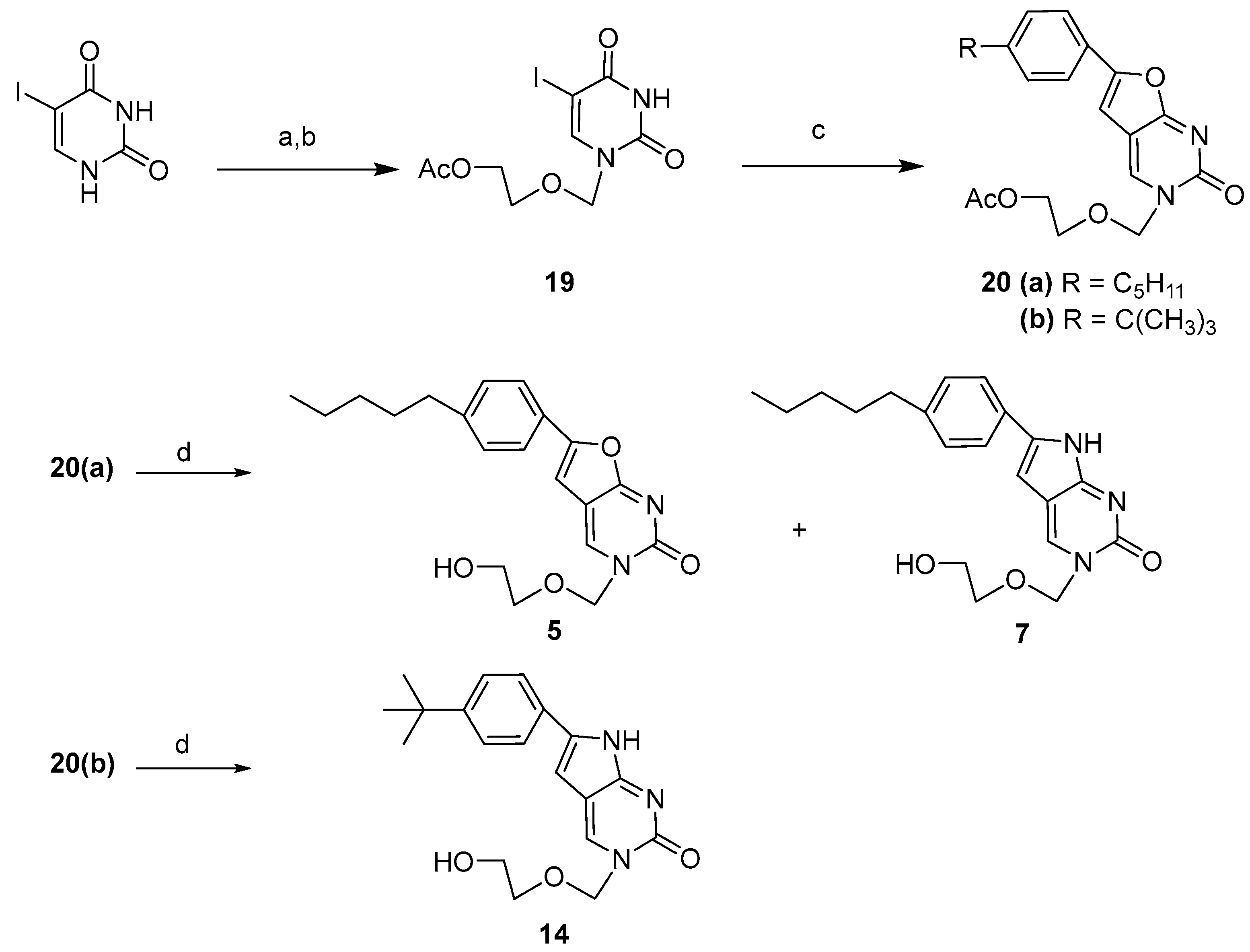Ijms 24 03361 sch003 Ijms 24 03361 sch003