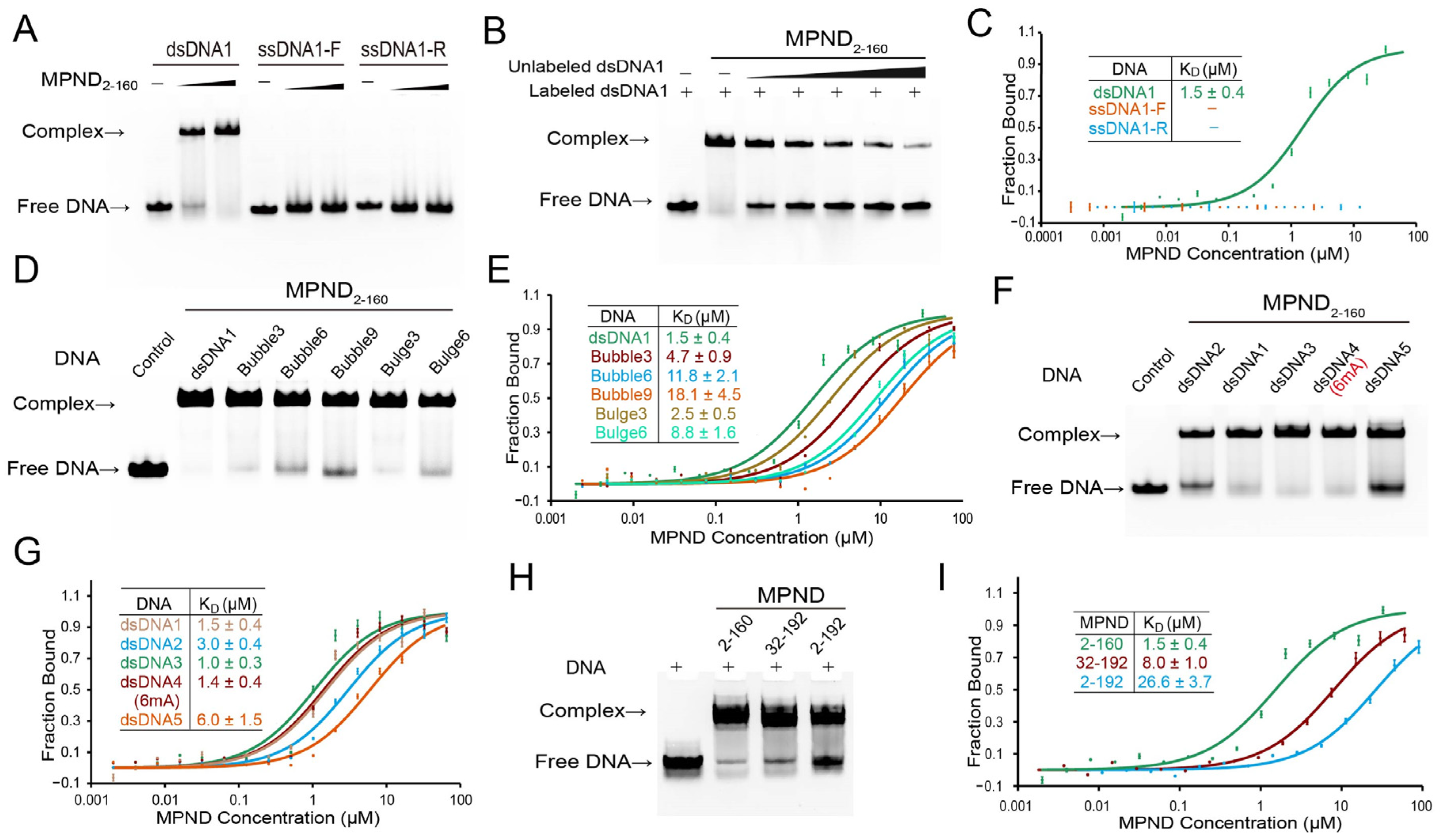 Ijms 24 03368 g002 Ijms 24 03368 g002