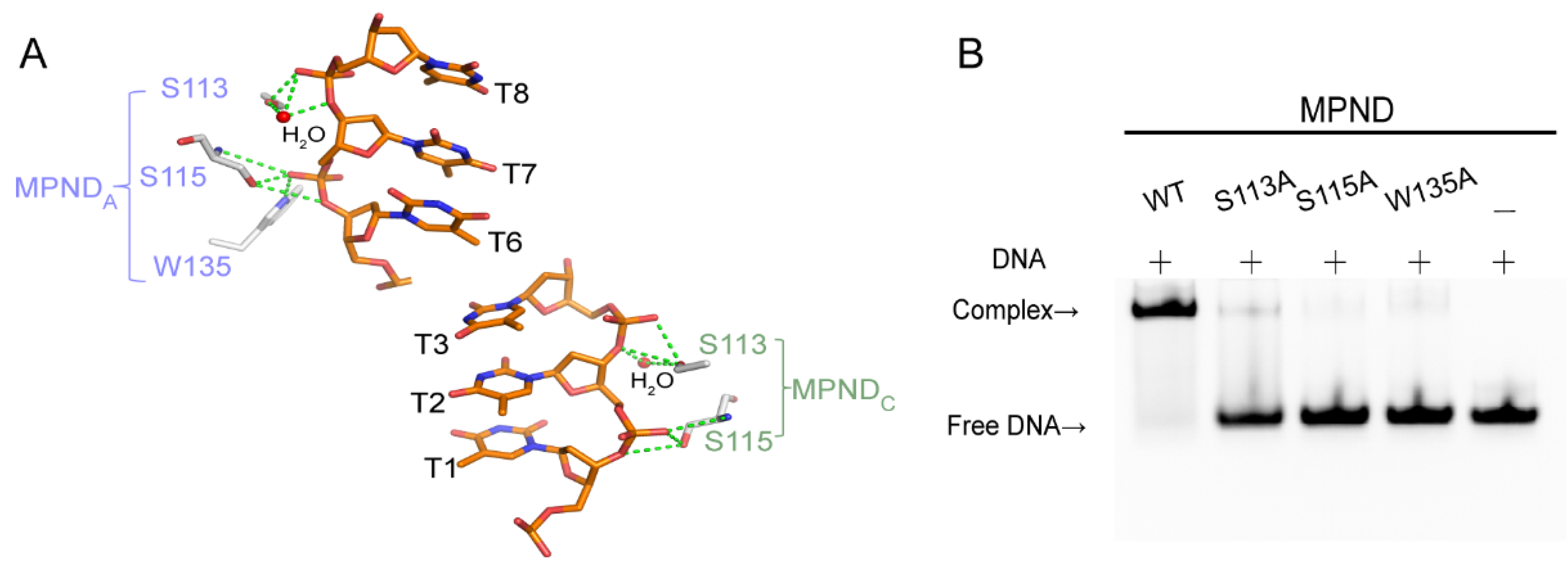 Ijms 24 03368 g004 Ijms 24 03368 g004