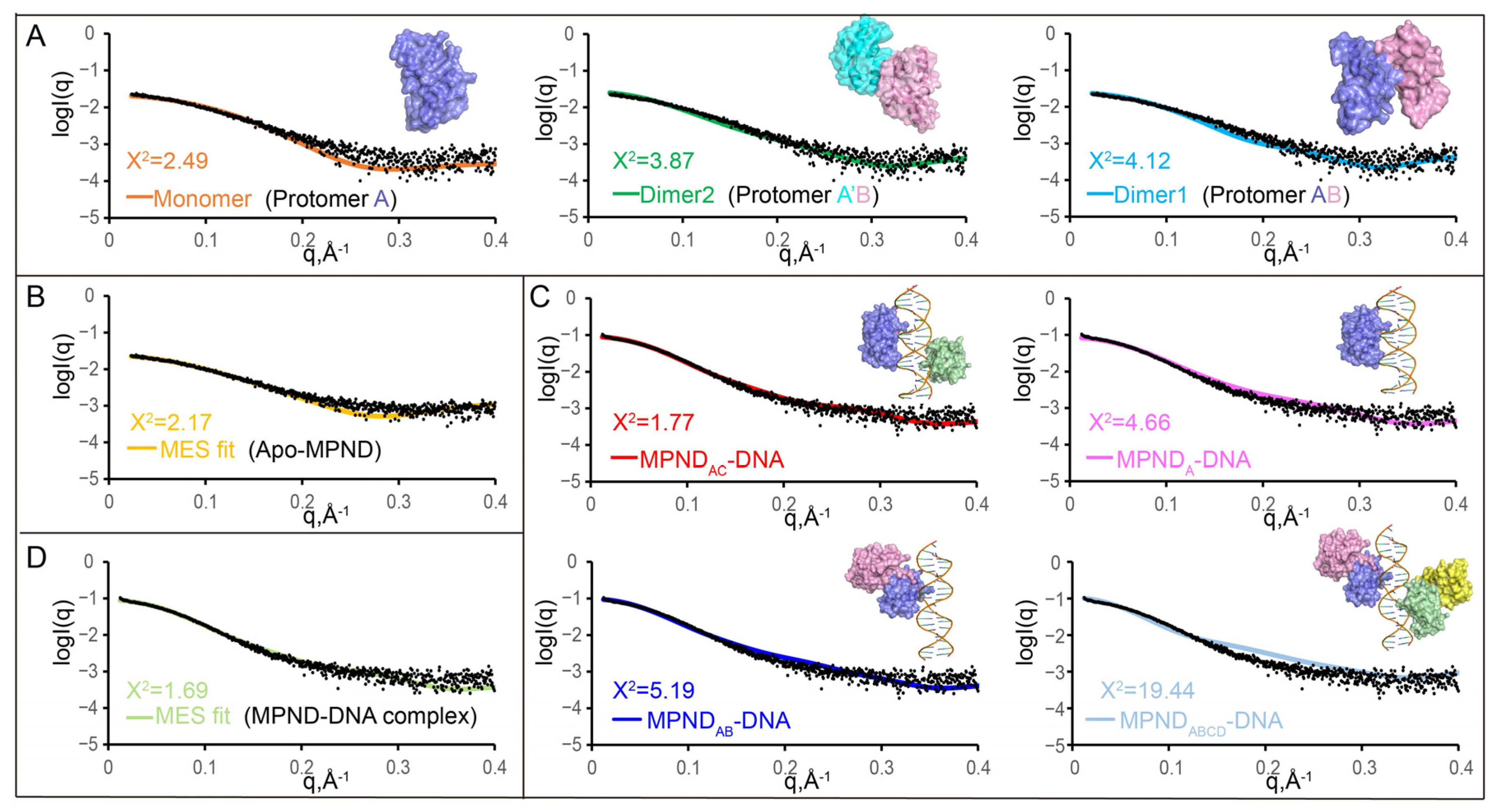 Ijms 24 03368 g005 Ijms 24 03368 g005