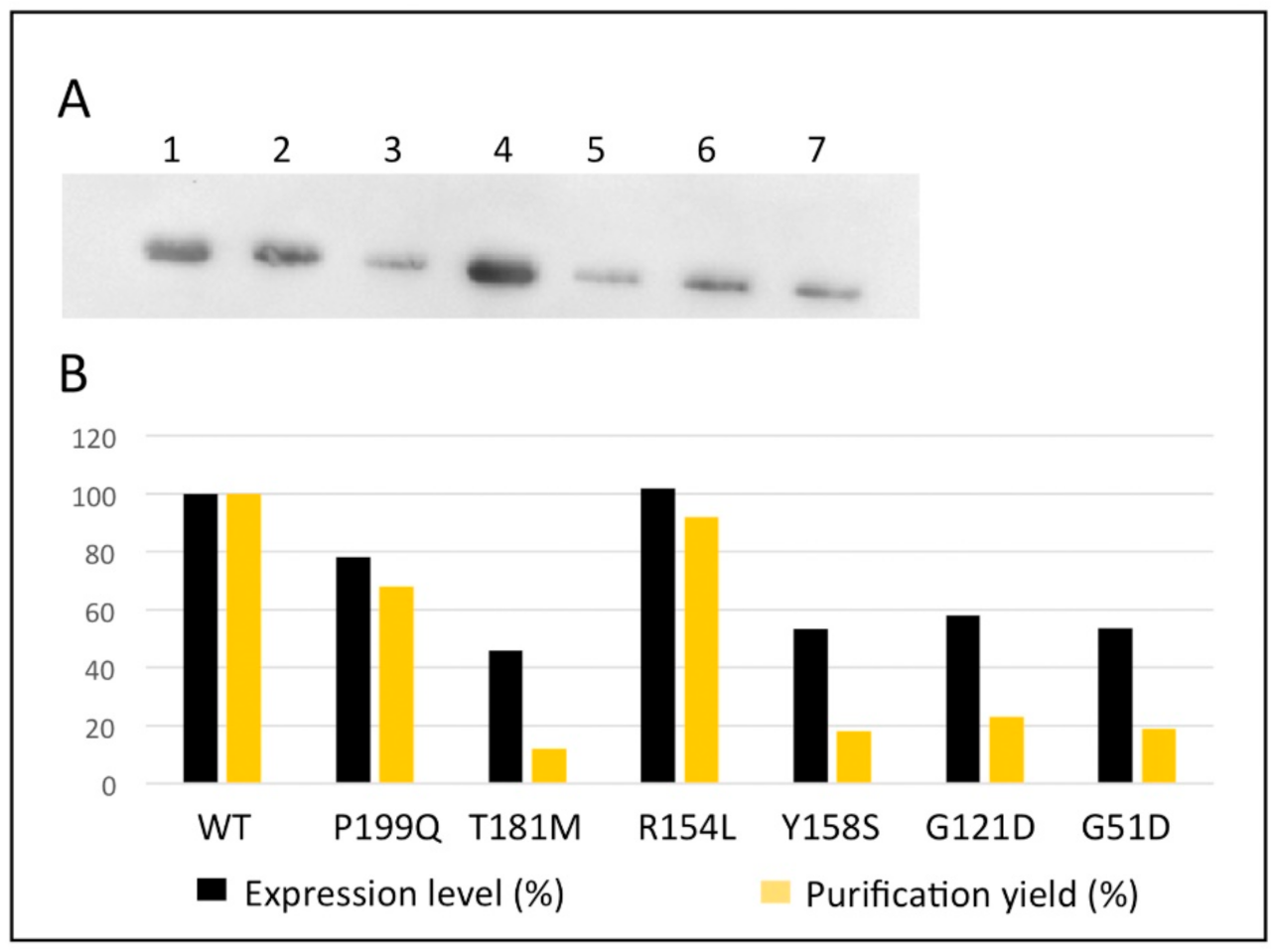 Ijms 24 03369 g003 Ijms 24 03369 g003