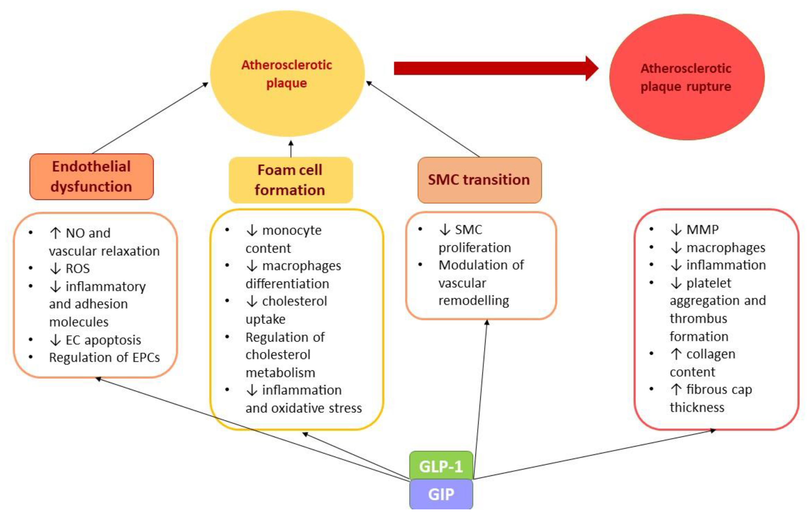 Ijms 24 03385 g002 Ijms 24 03385 g002