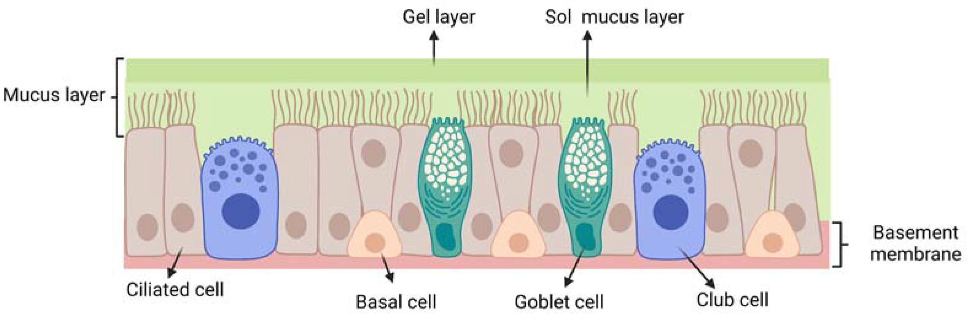 Ijms 24 03390 g004 Ijms 24 03390 g004