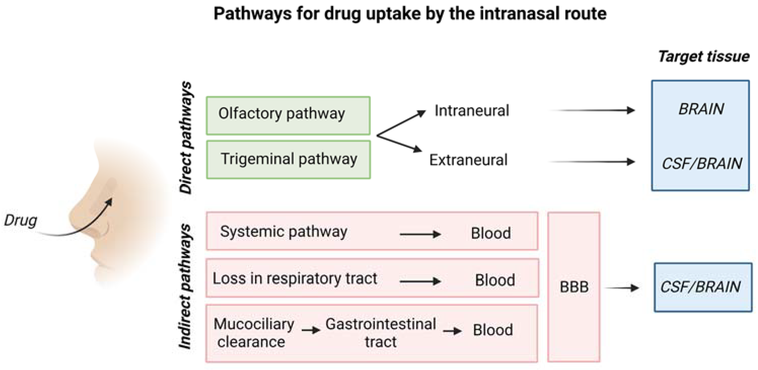 Ijms 24 03390 g005 Ijms 24 03390 g005