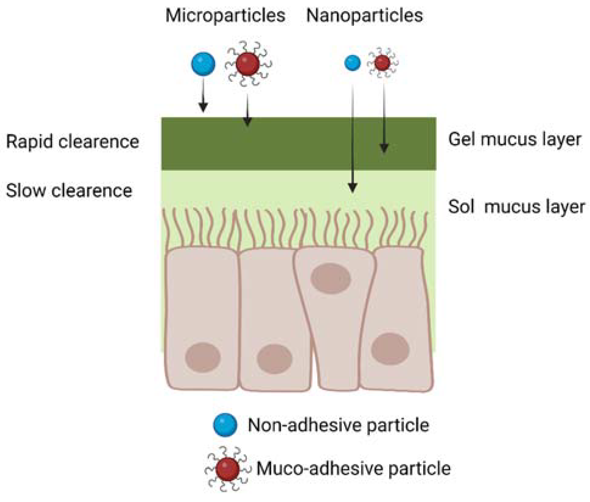 Ijms 24 03390 g006 Ijms 24 03390 g006