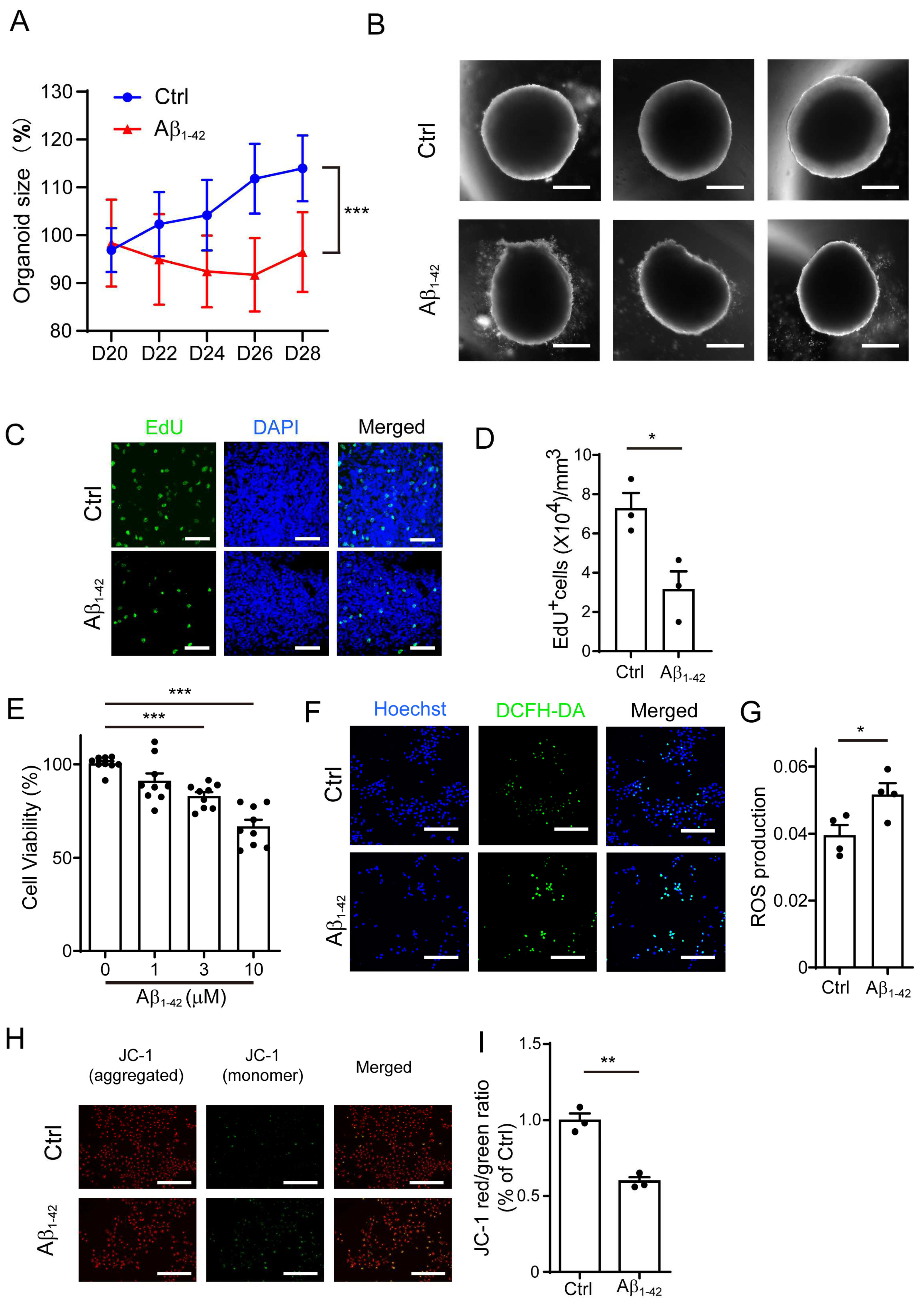 Ijms 24 03398 g001 Ijms 24 03398 g001