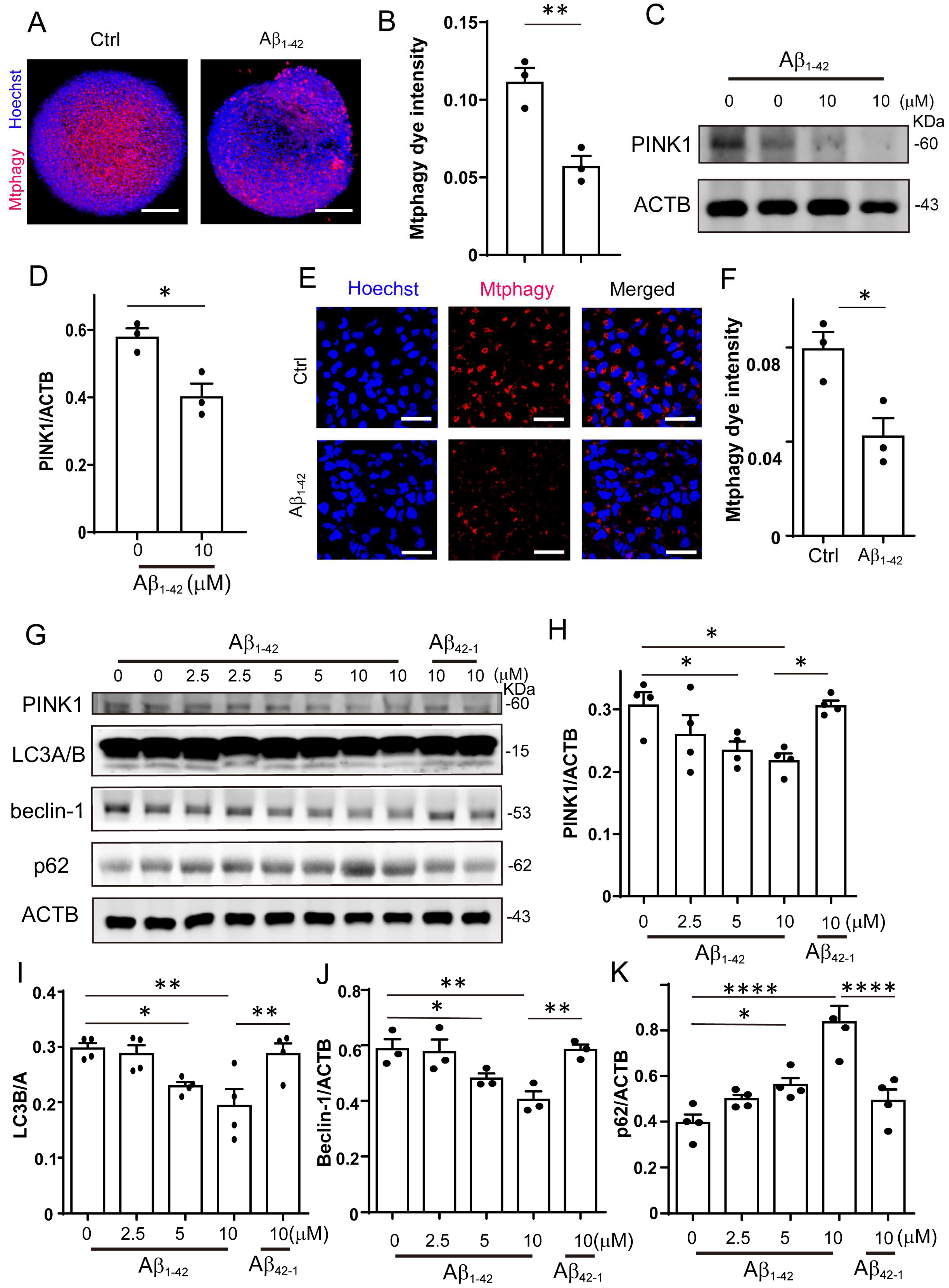 Ijms 24 03398 g002 Ijms 24 03398 g002