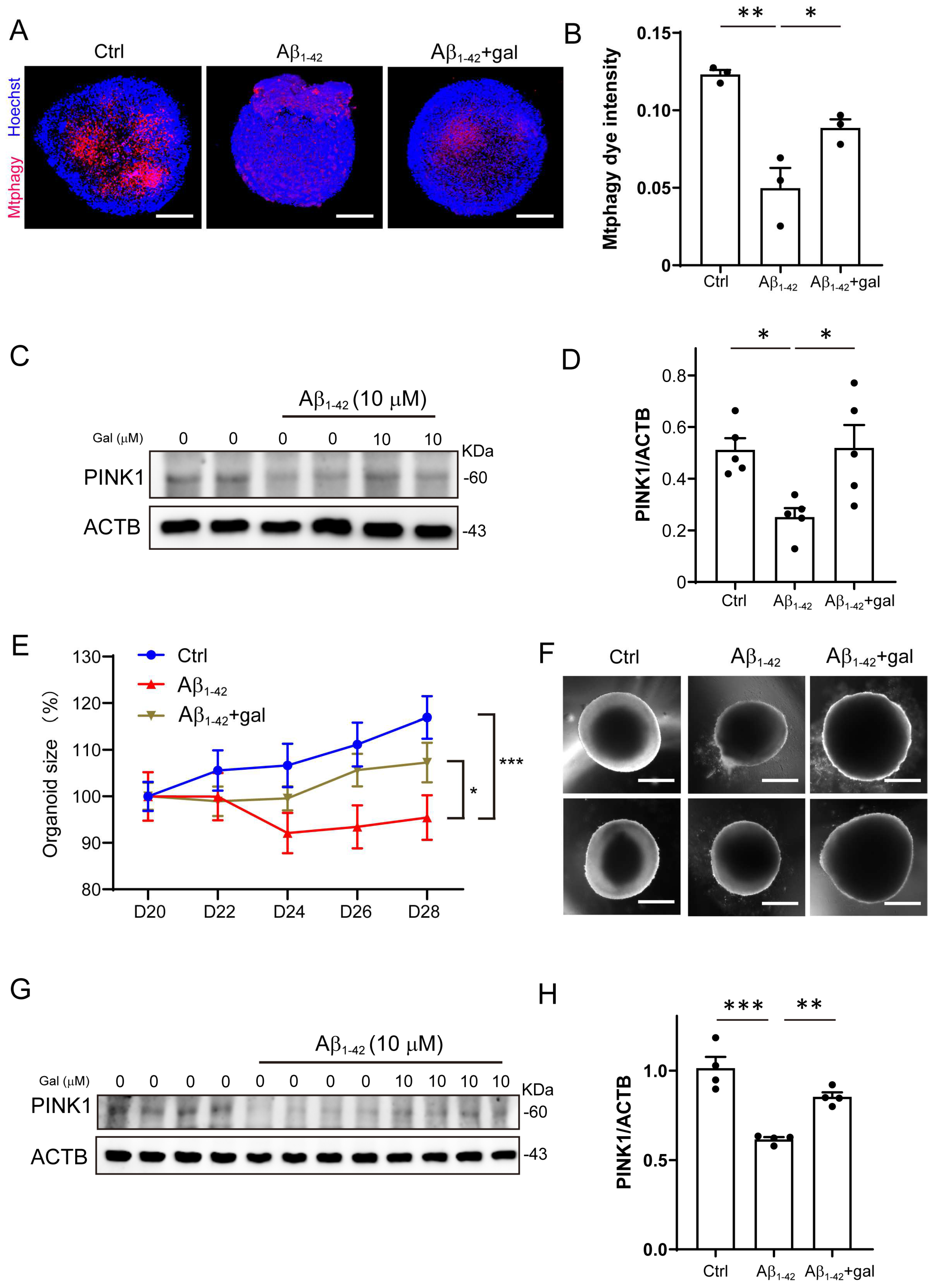 Ijms 24 03398 g003 Ijms 24 03398 g003