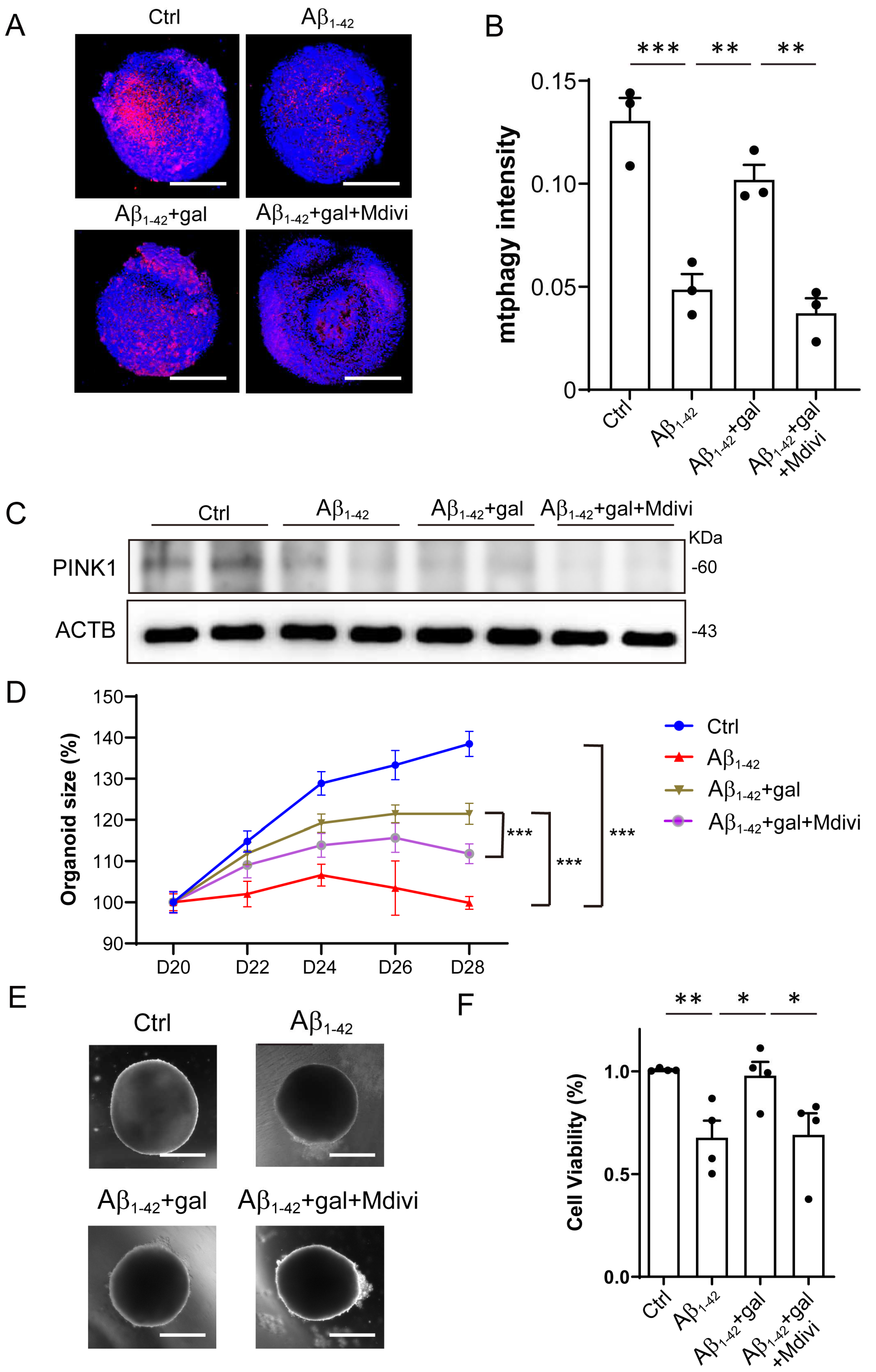 Ijms 24 03398 g004 Ijms 24 03398 g004