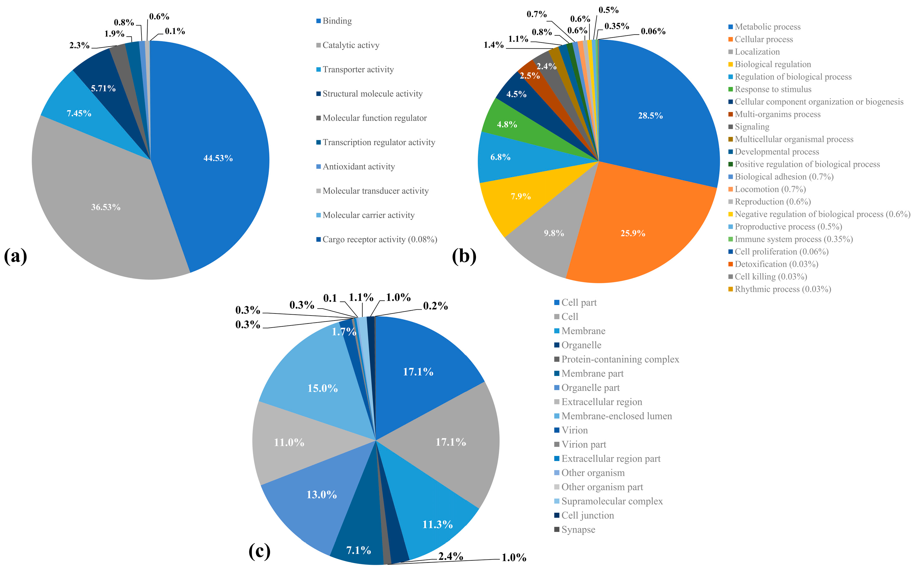 Ijms 24 03406 g001 Ijms 24 03406 g001