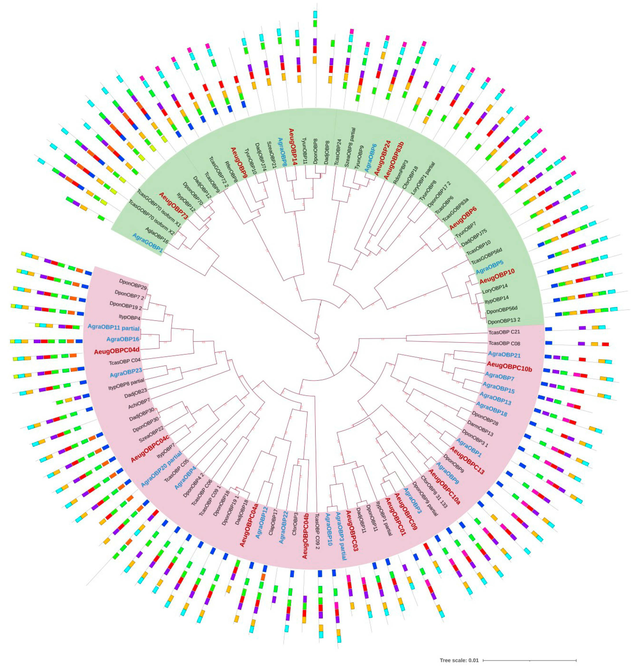 Ijms 24 03406 g003 Ijms 24 03406 g003