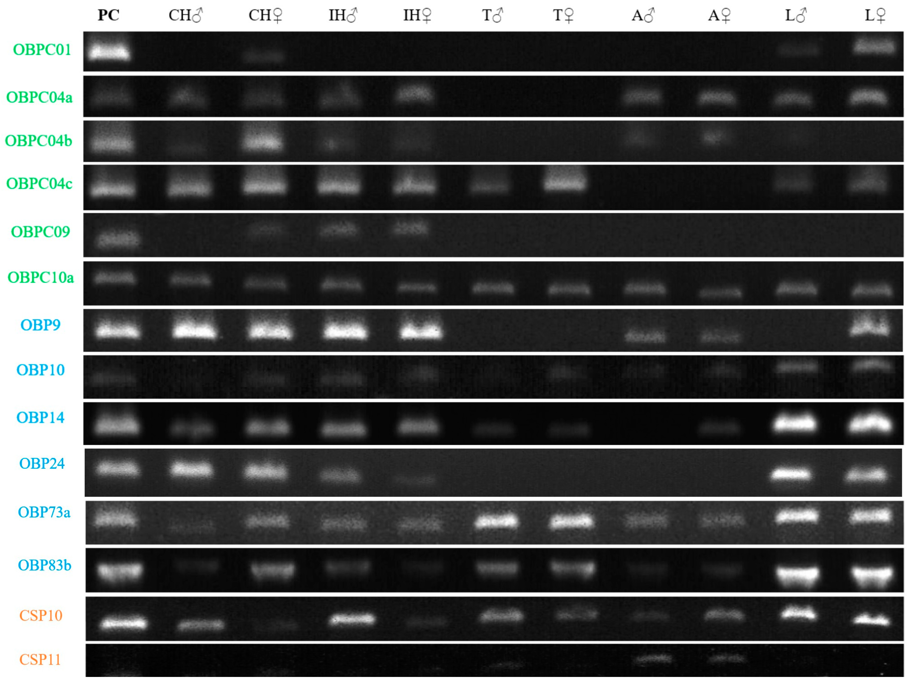 Ijms 24 03406 g005 Ijms 24 03406 g005