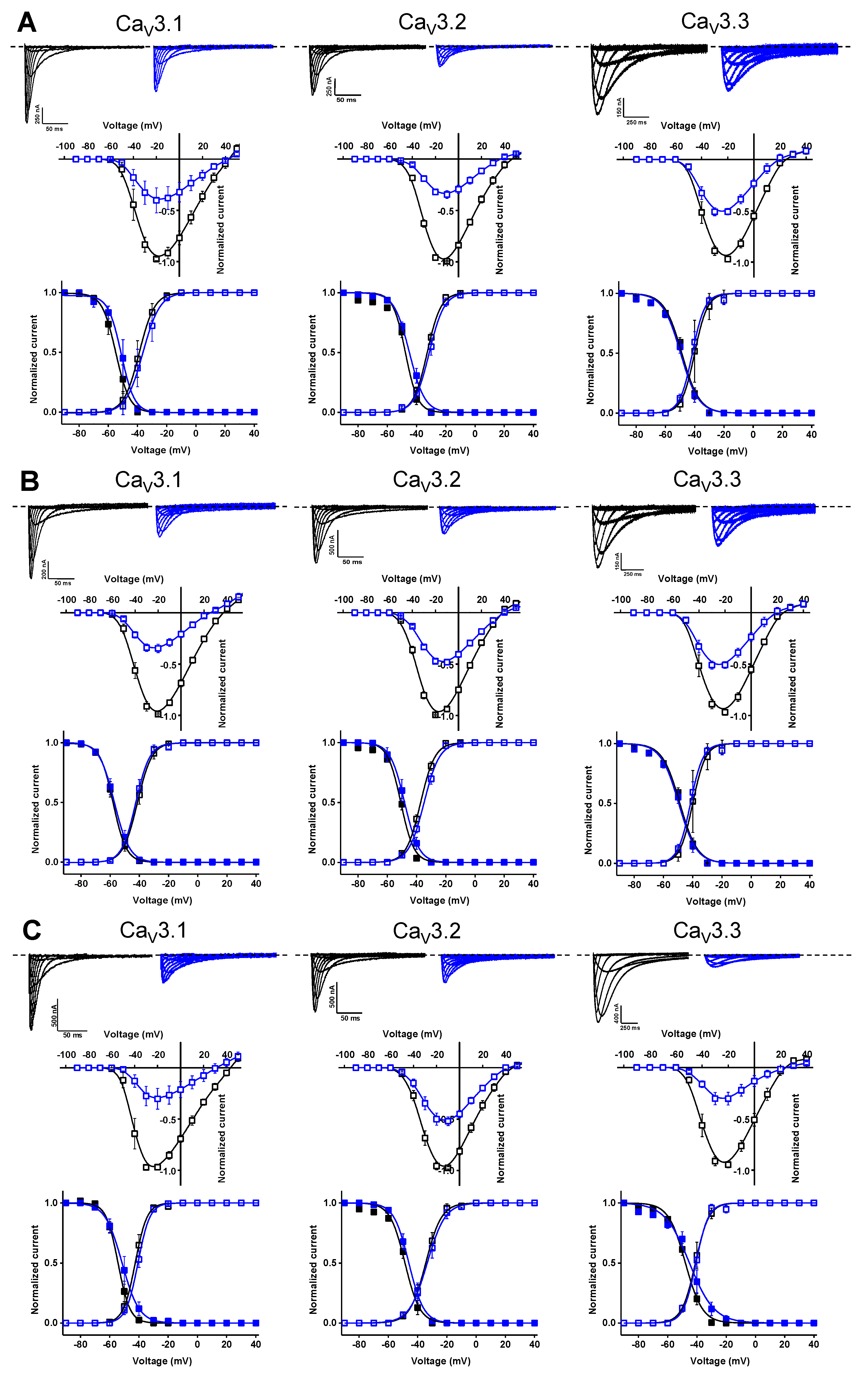Ijms 24 03429 g009 Ijms 24 03429 g009
