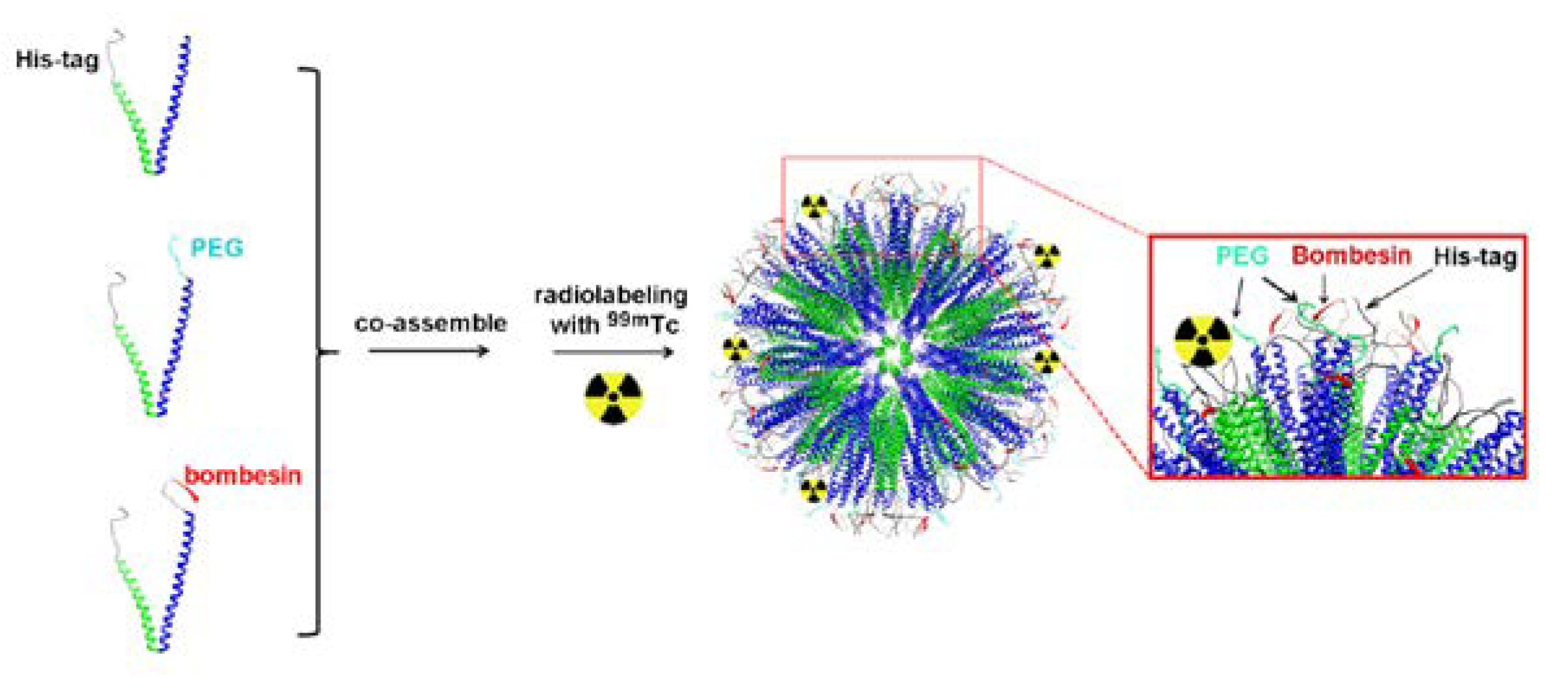 Ijms 24 03455 g006 Ijms 24 03455 g006