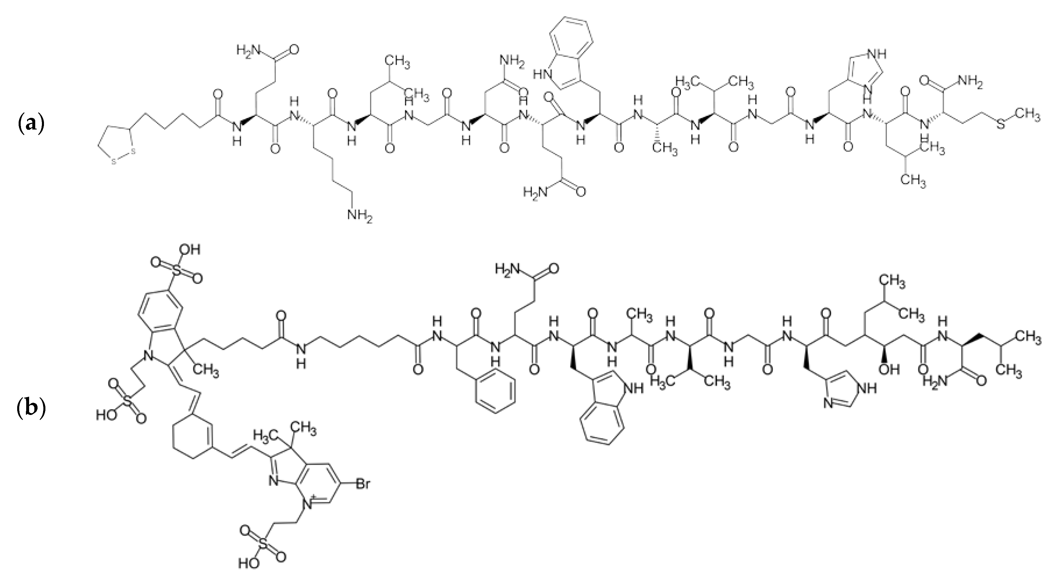 Ijms 24 03455 g007 Ijms 24 03455 g007