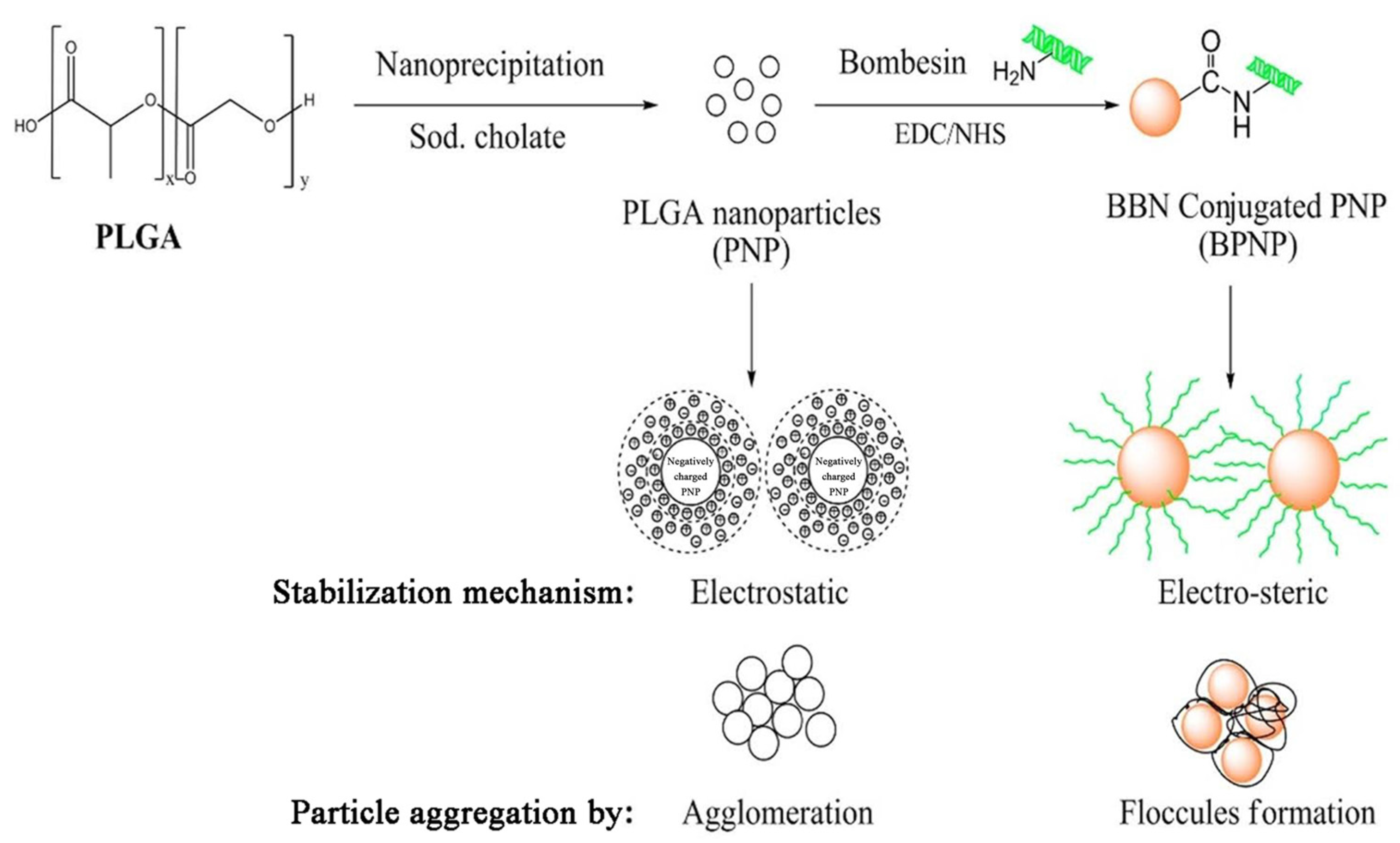 Ijms 24 03455 g011 Ijms 24 03455 g011