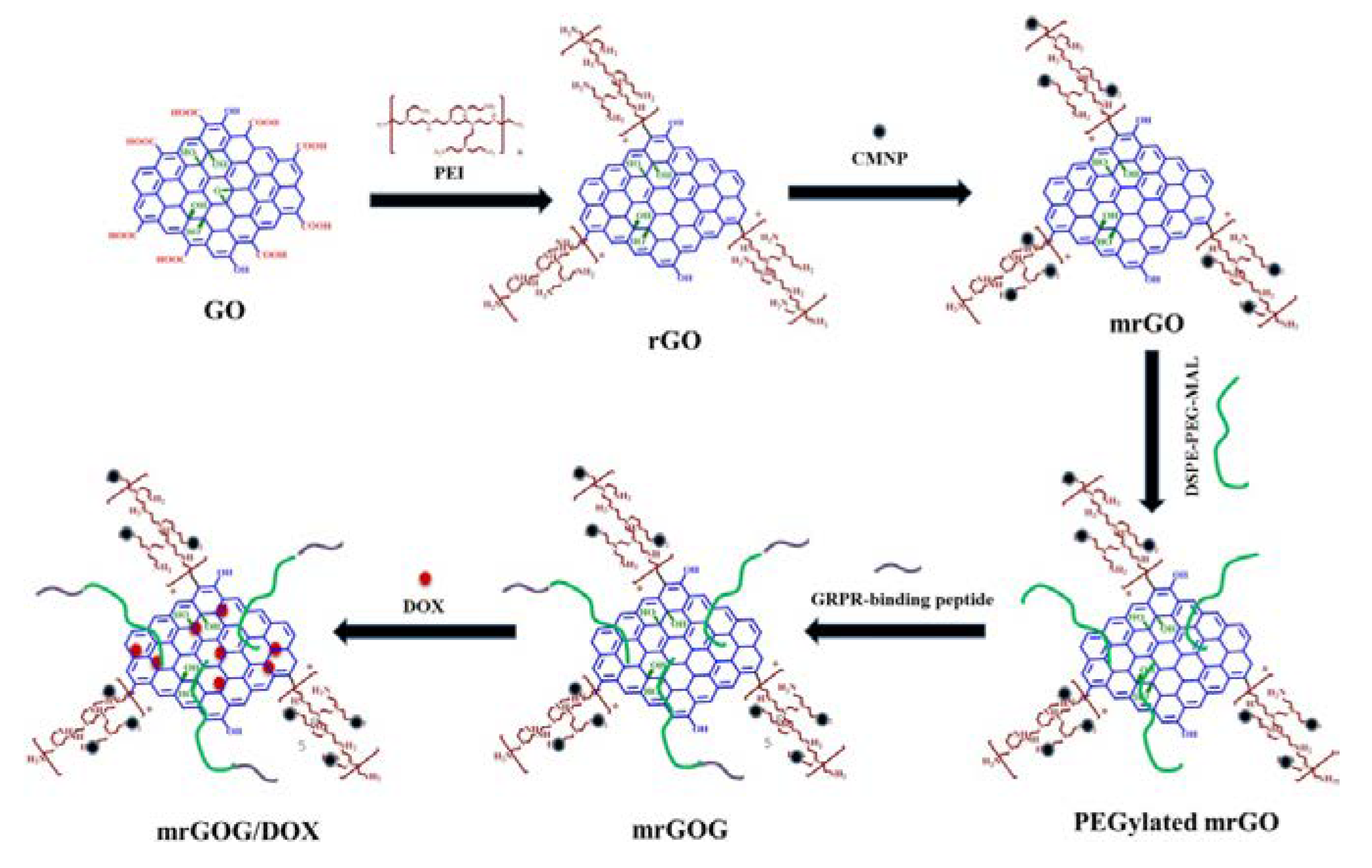 Ijms 24 03455 g013 Ijms 24 03455 g013