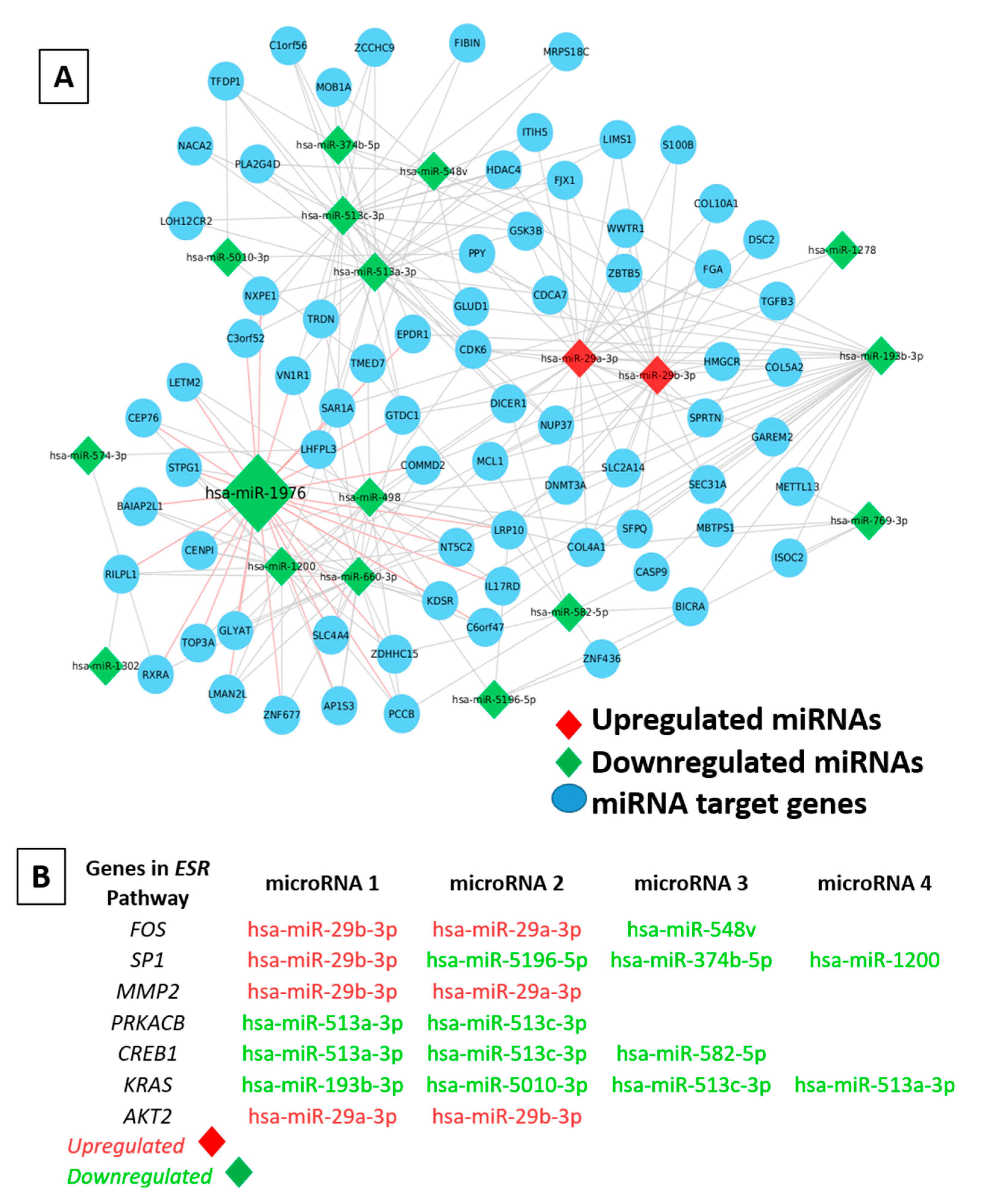 Ijms 24 03497 g006 Ijms 24 03497 g006