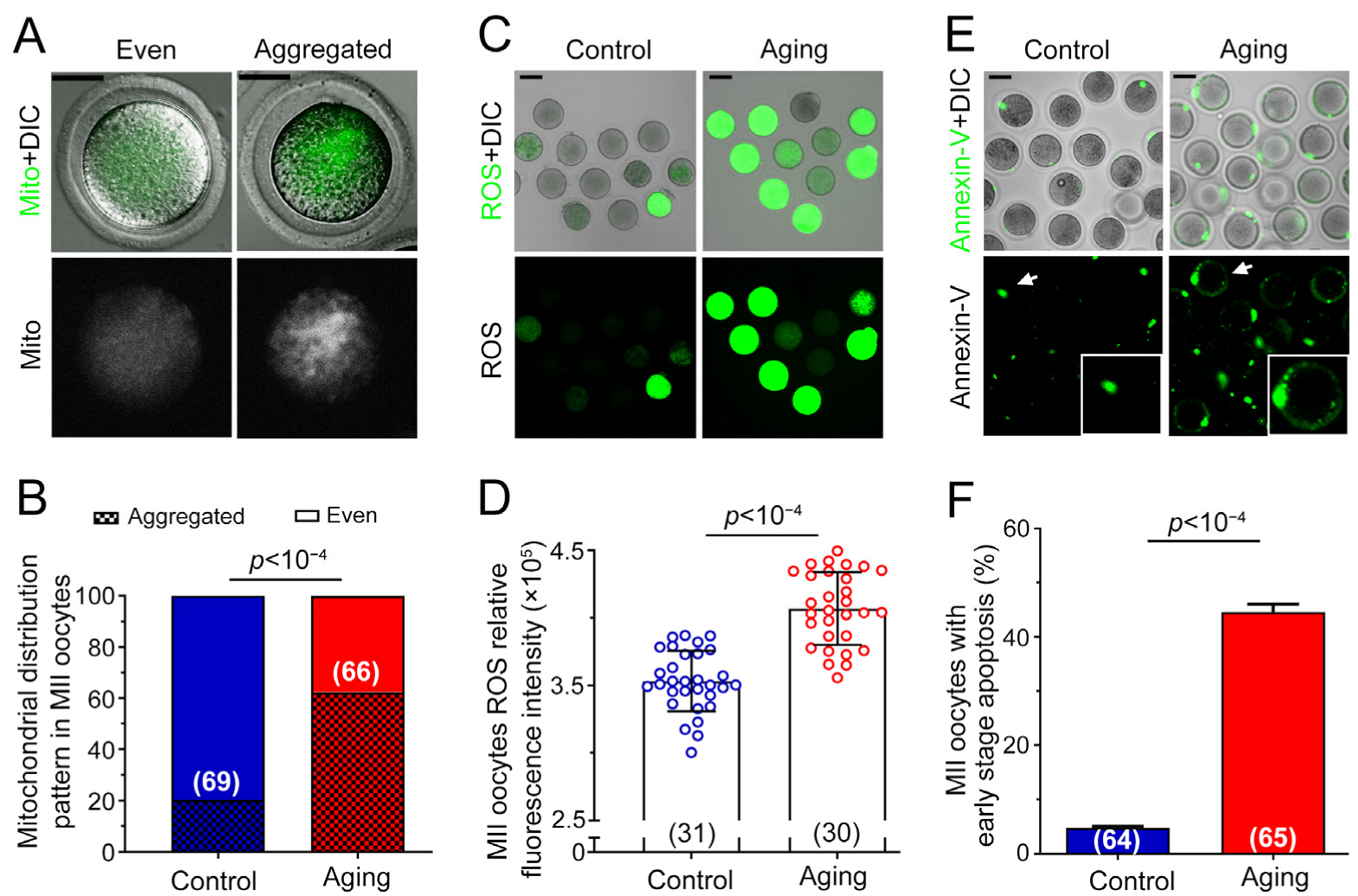 Ijms 24 03530 g002 Ijms 24 03530 g002