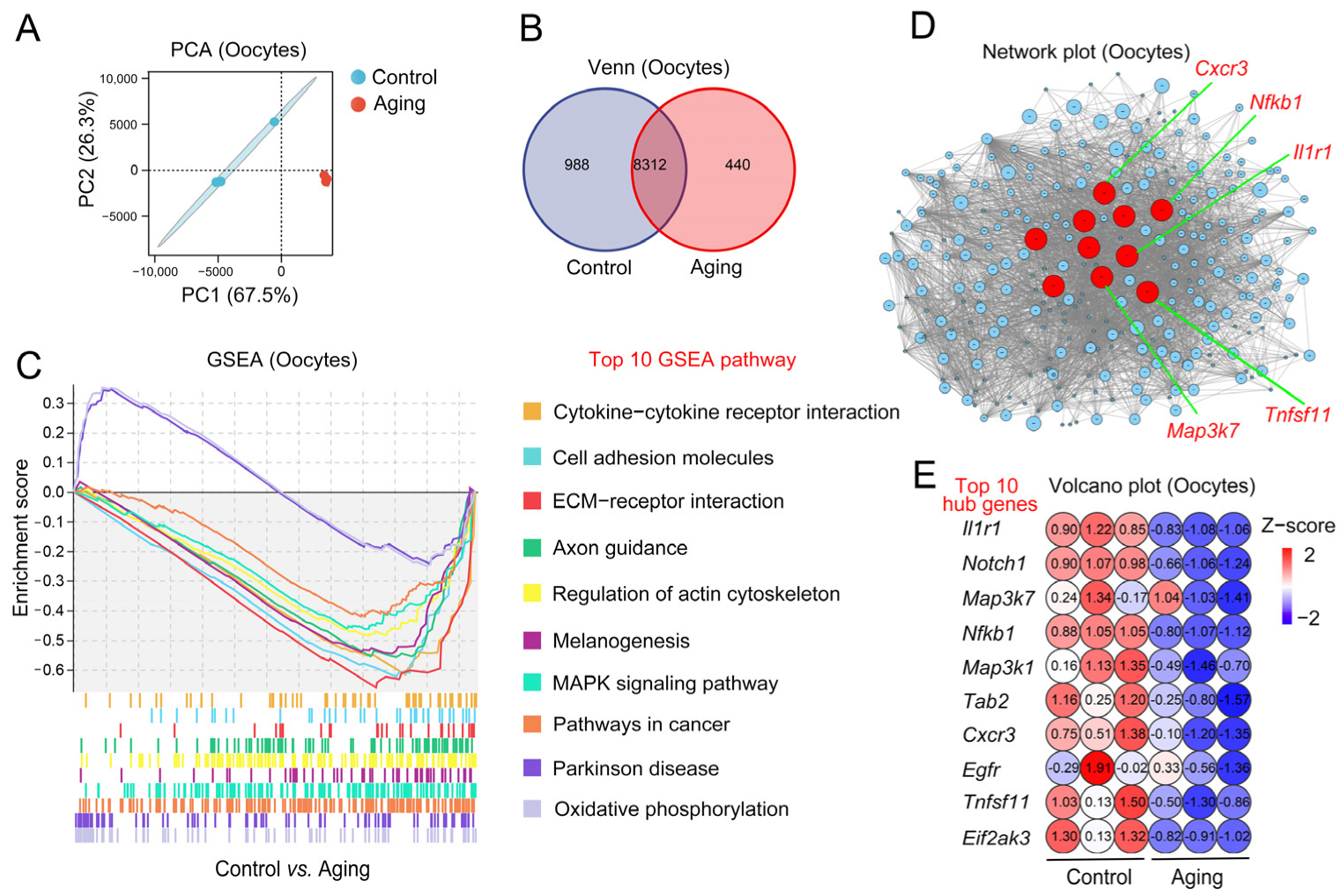 Ijms 24 03530 g003 Ijms 24 03530 g003