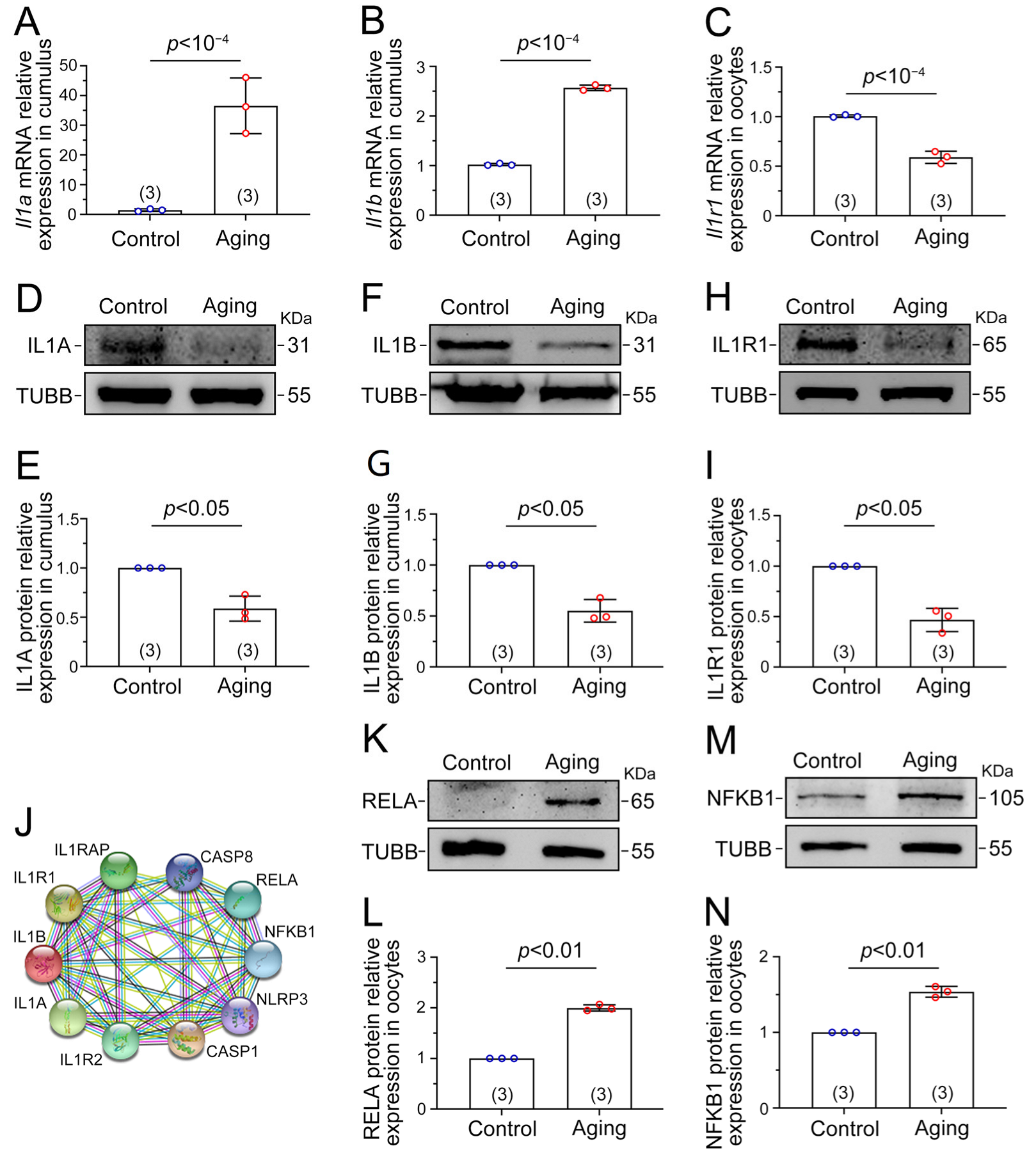 Ijms 24 03530 g006 Ijms 24 03530 g006