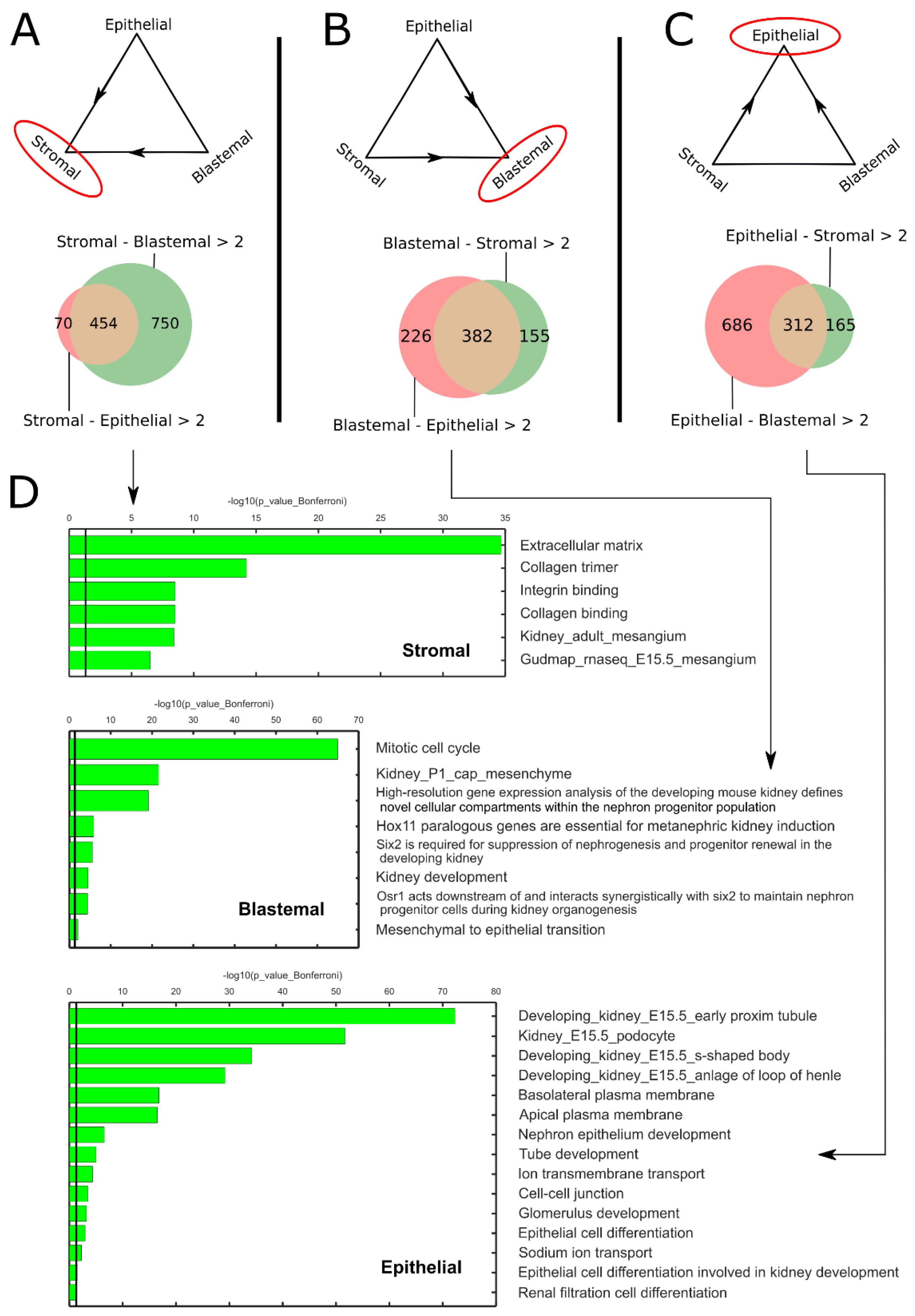 Ijms 24 03532 g002 Ijms 24 03532 g002