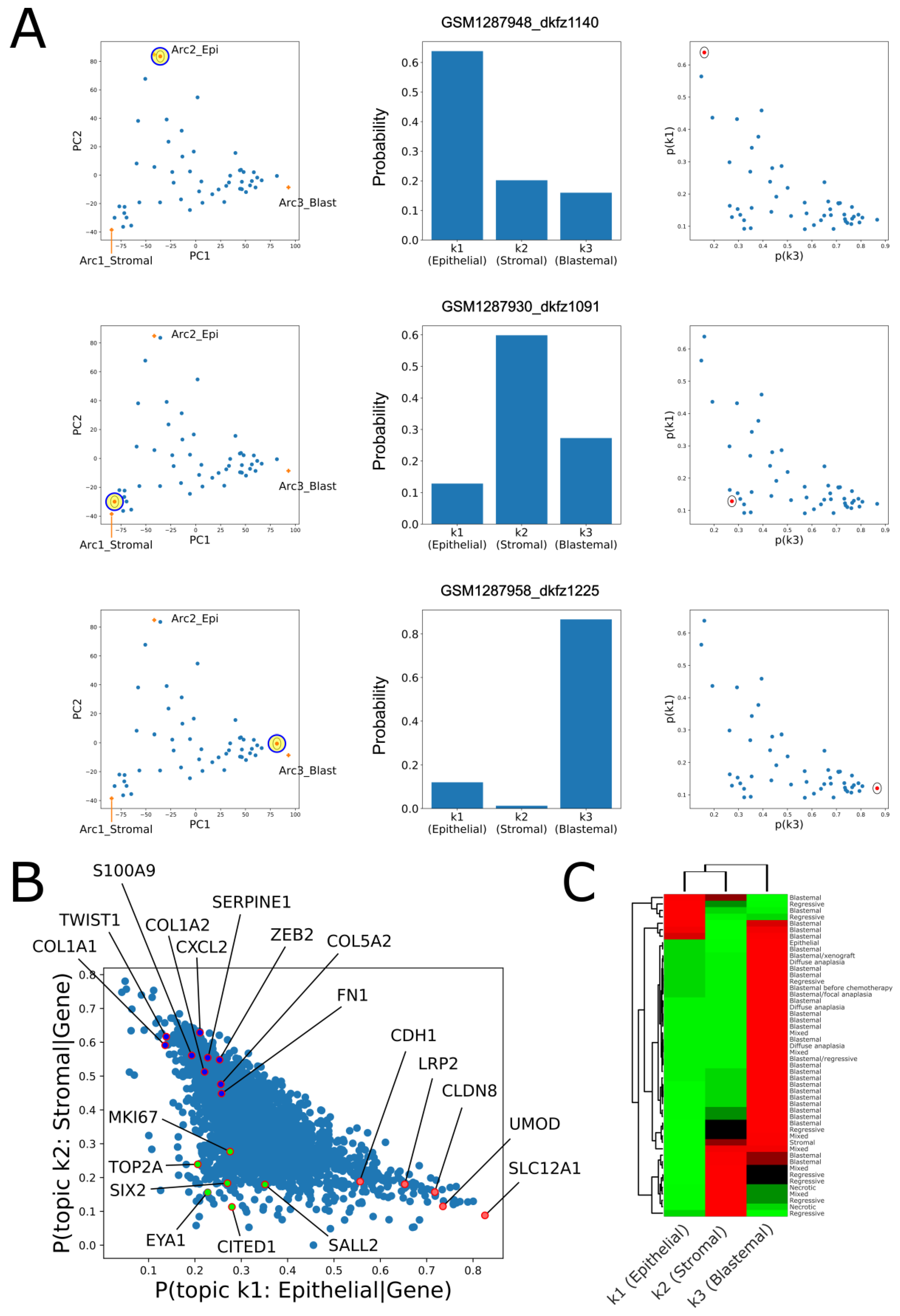 Ijms 24 03532 g003 Ijms 24 03532 g003