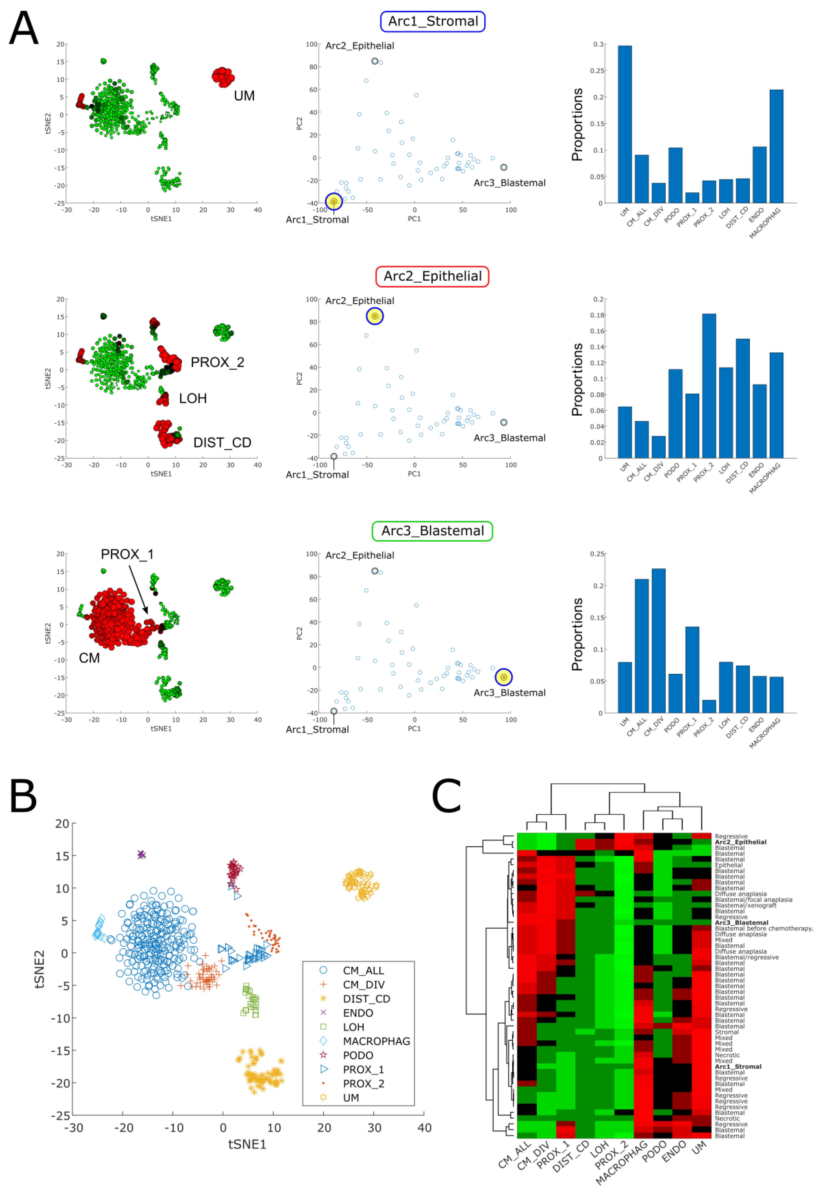 Ijms 24 03532 g004 Ijms 24 03532 g004