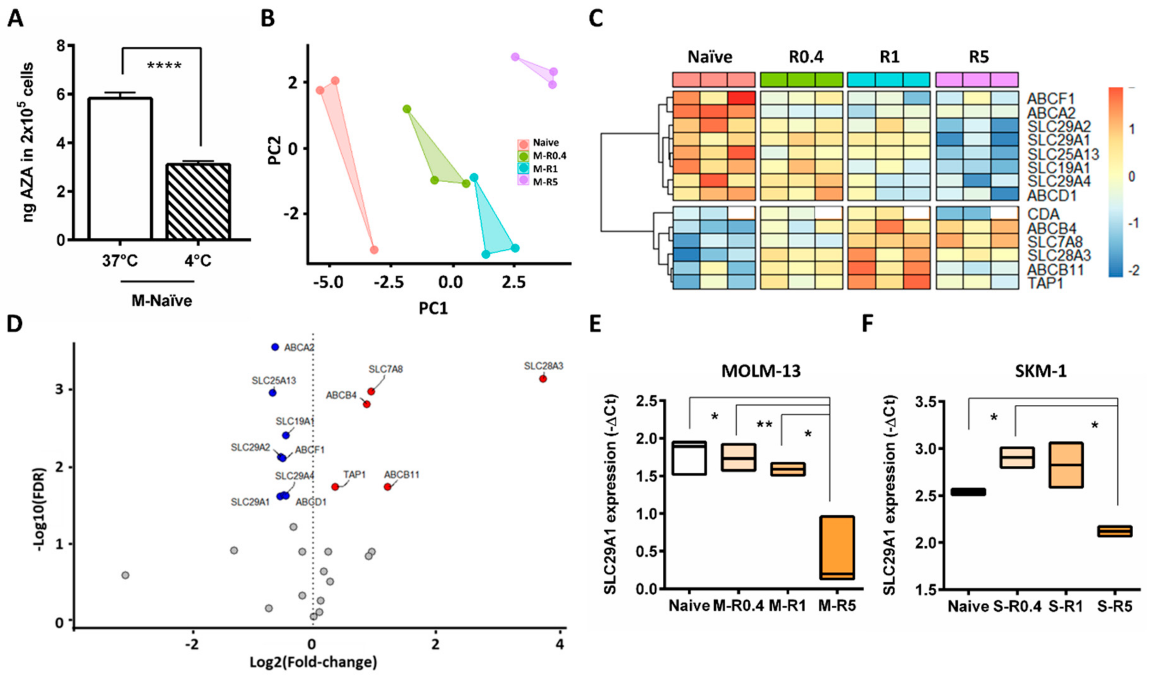 Ijms 24 03553 g002 Ijms 24 03553 g002