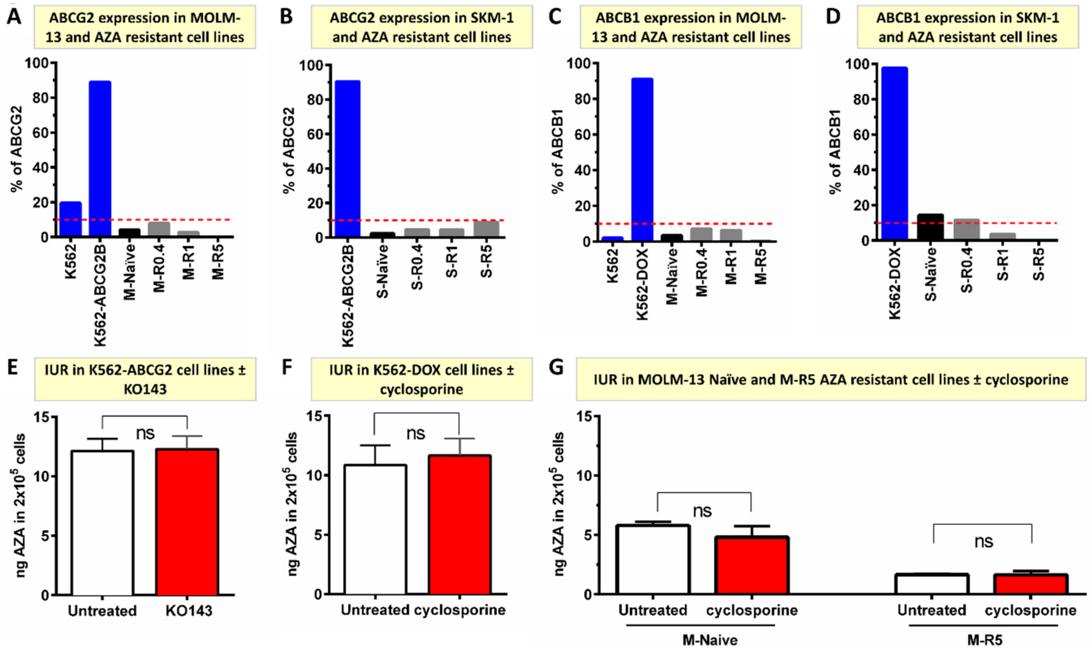 Ijms 24 03553 g004 Ijms 24 03553 g004