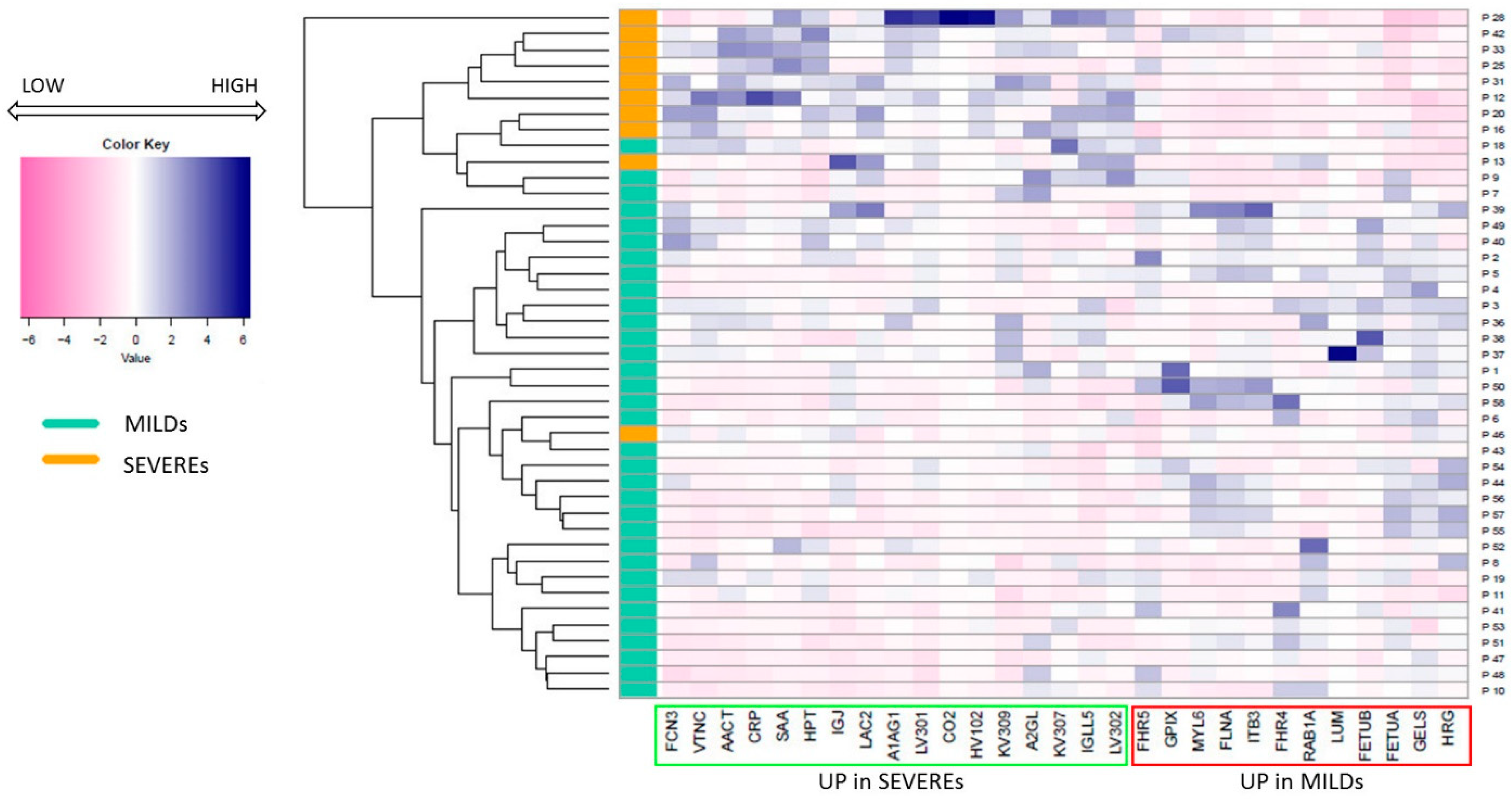 Ijms 24 03570 g002 Ijms 24 03570 g002