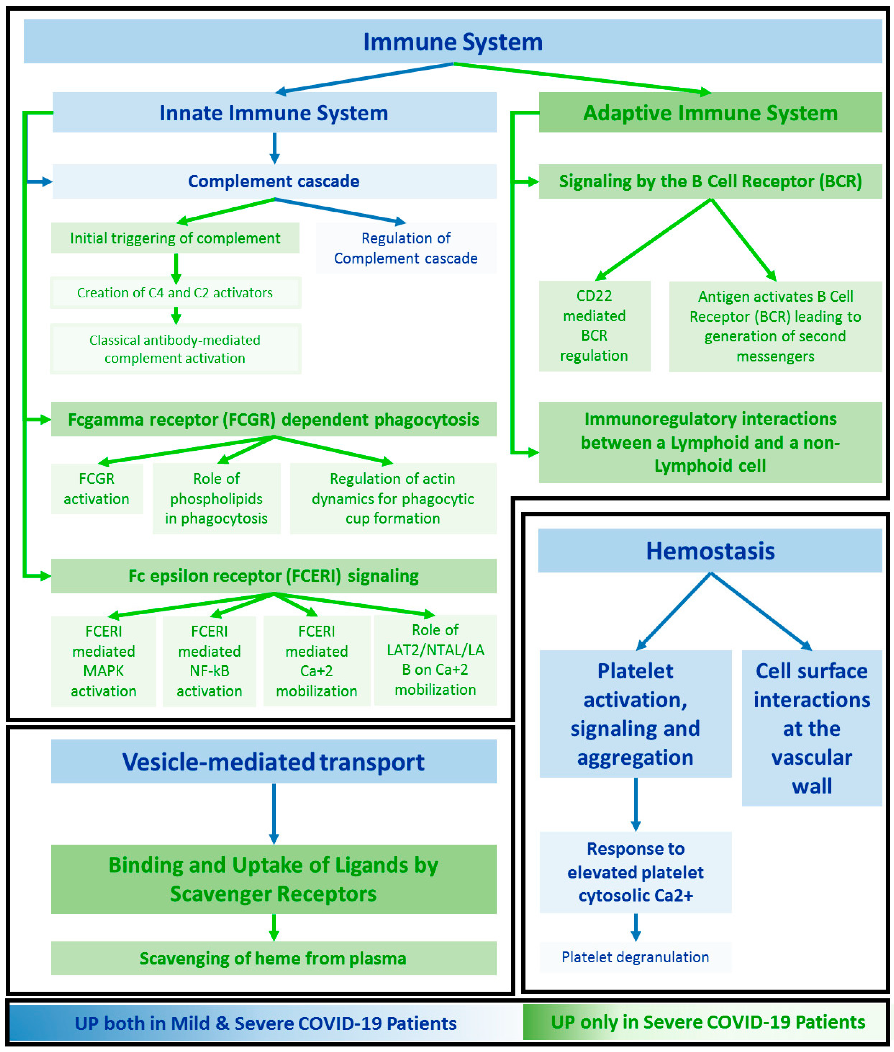 Ijms 24 03570 g005 Ijms 24 03570 g005