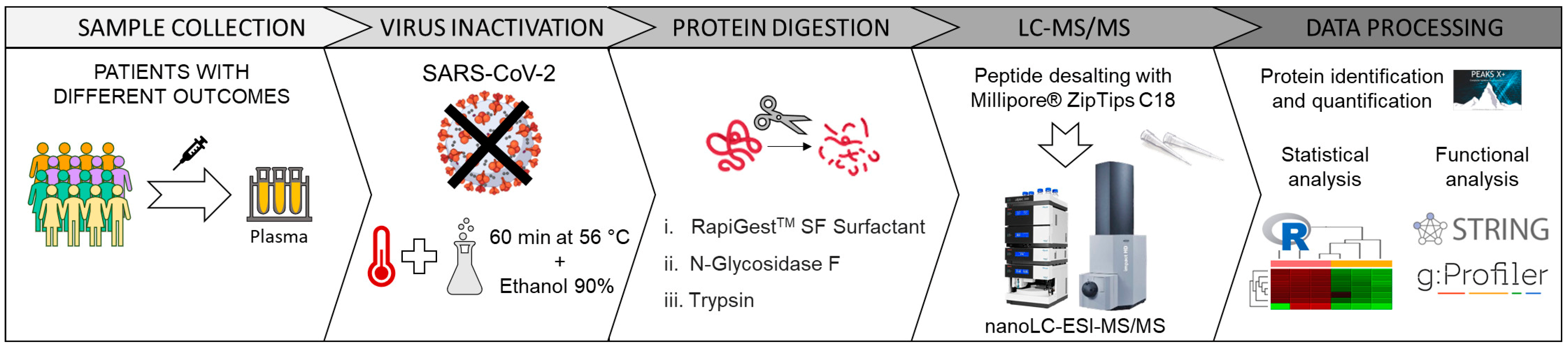 Ijms 24 03570 g006 Ijms 24 03570 g006