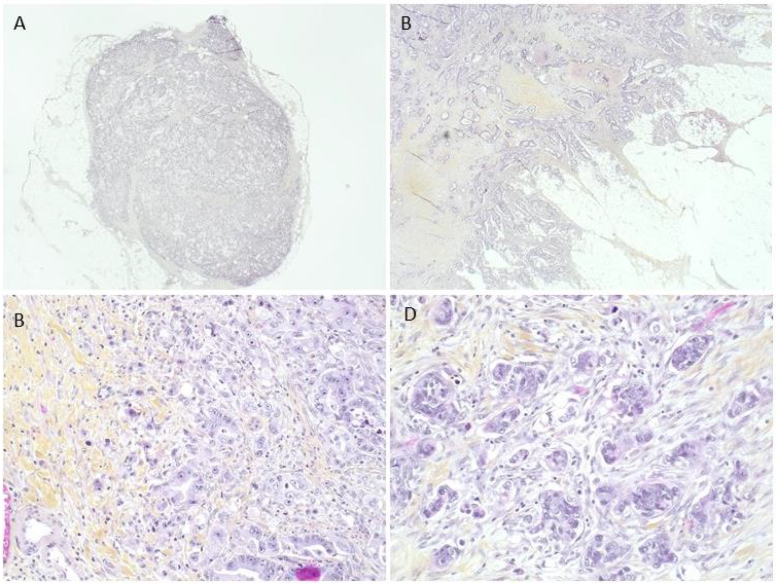 Ijms 24 03573 g001 Ijms 24 03573 g001