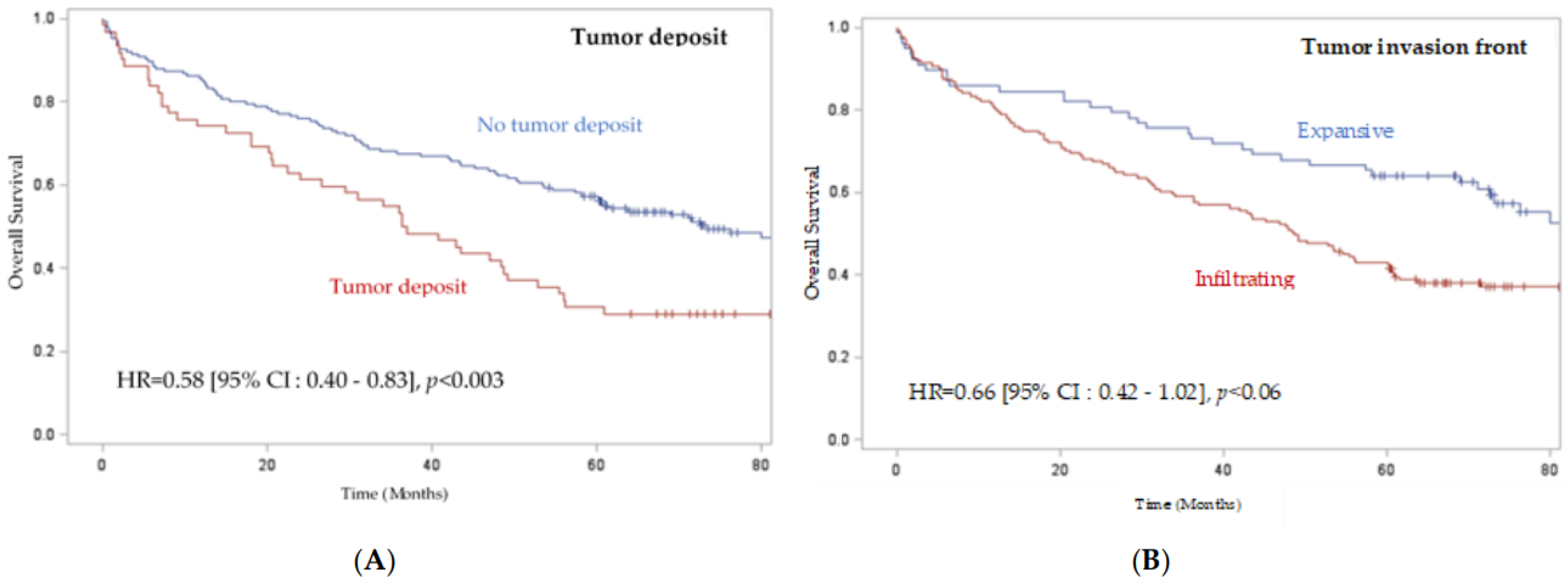 Ijms 24 03573 g002 Ijms 24 03573 g002