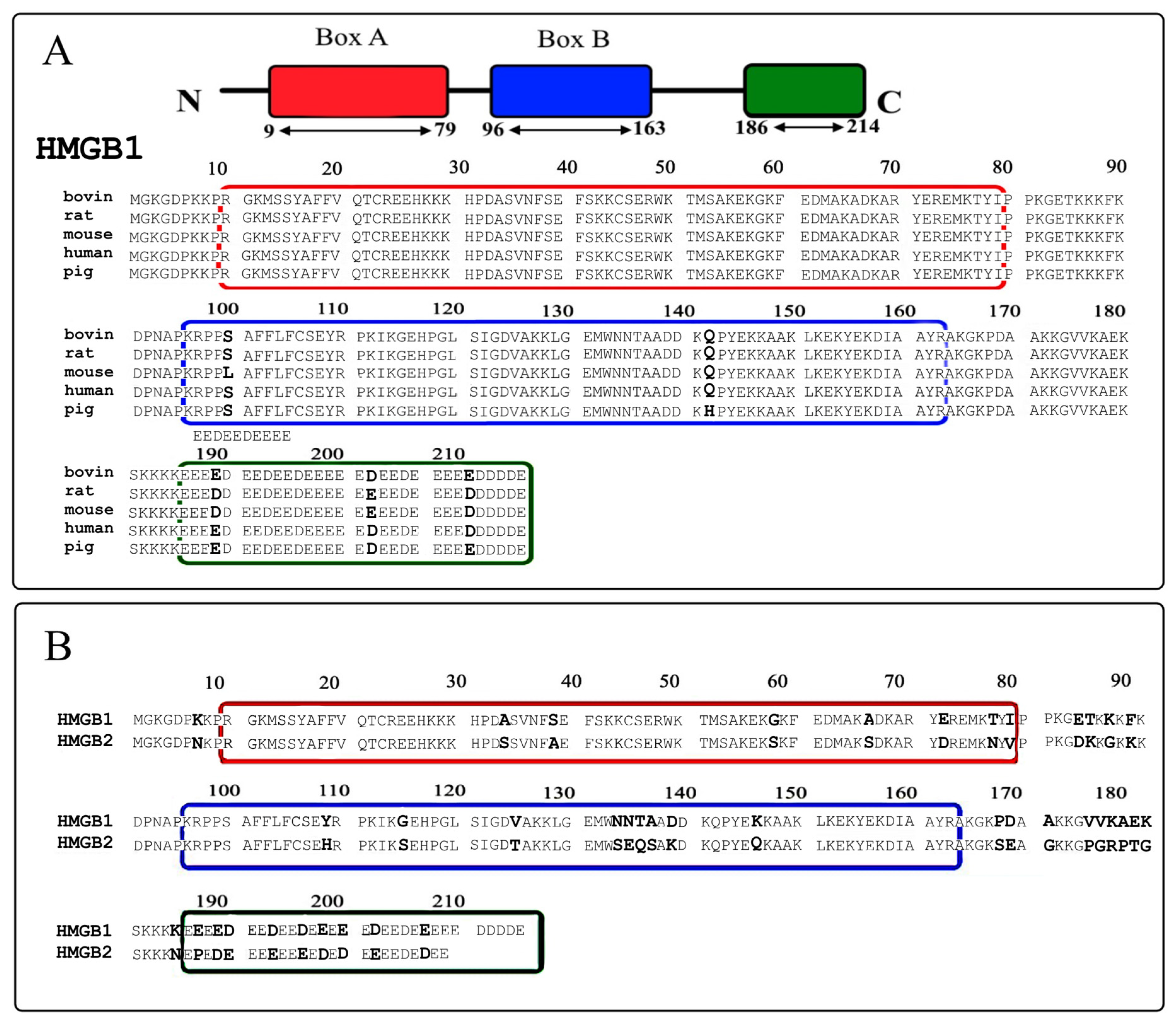 HMGB1/2 acted as a target for corynoxine B (Cory B) to promote