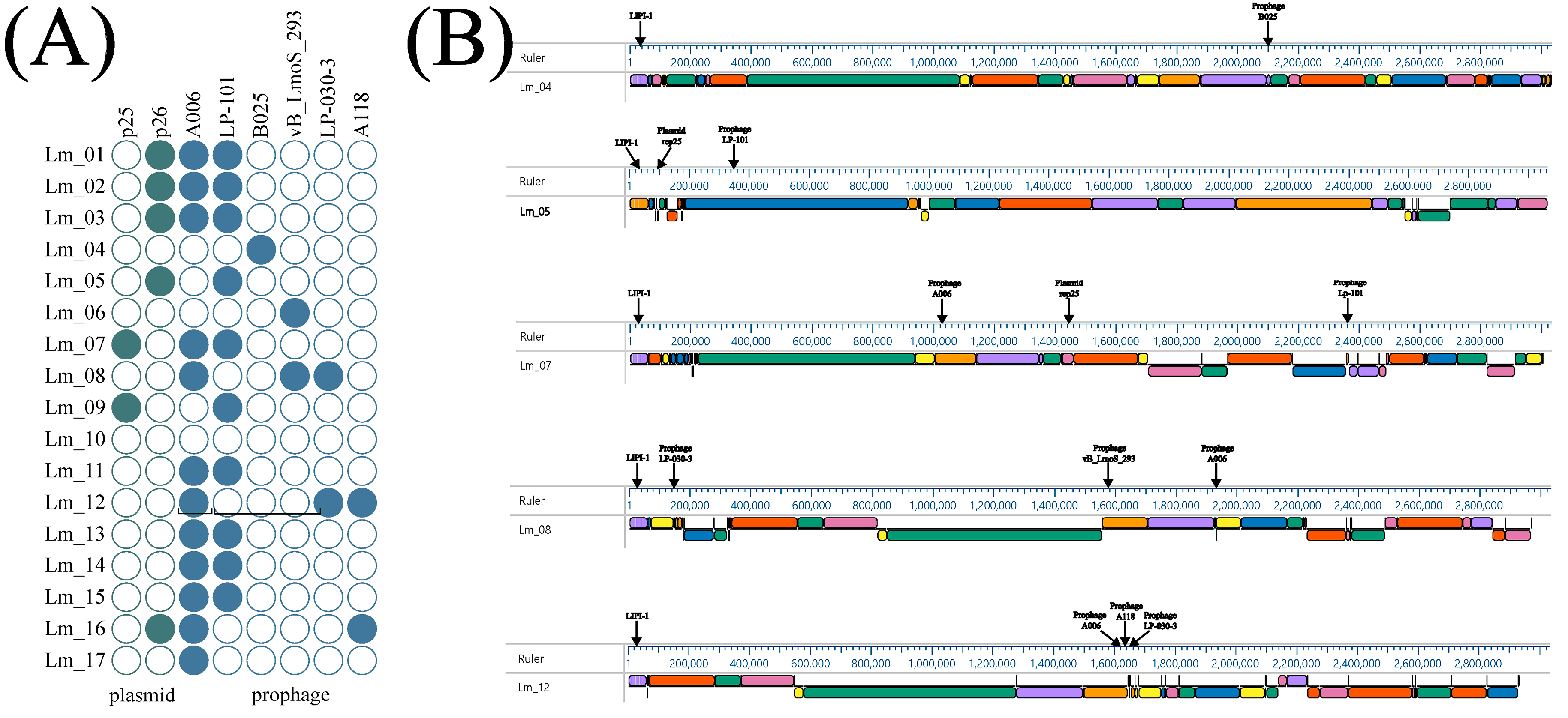 IJMS | Free Full-Text | A Comprehensive Virulence and Resistance ...