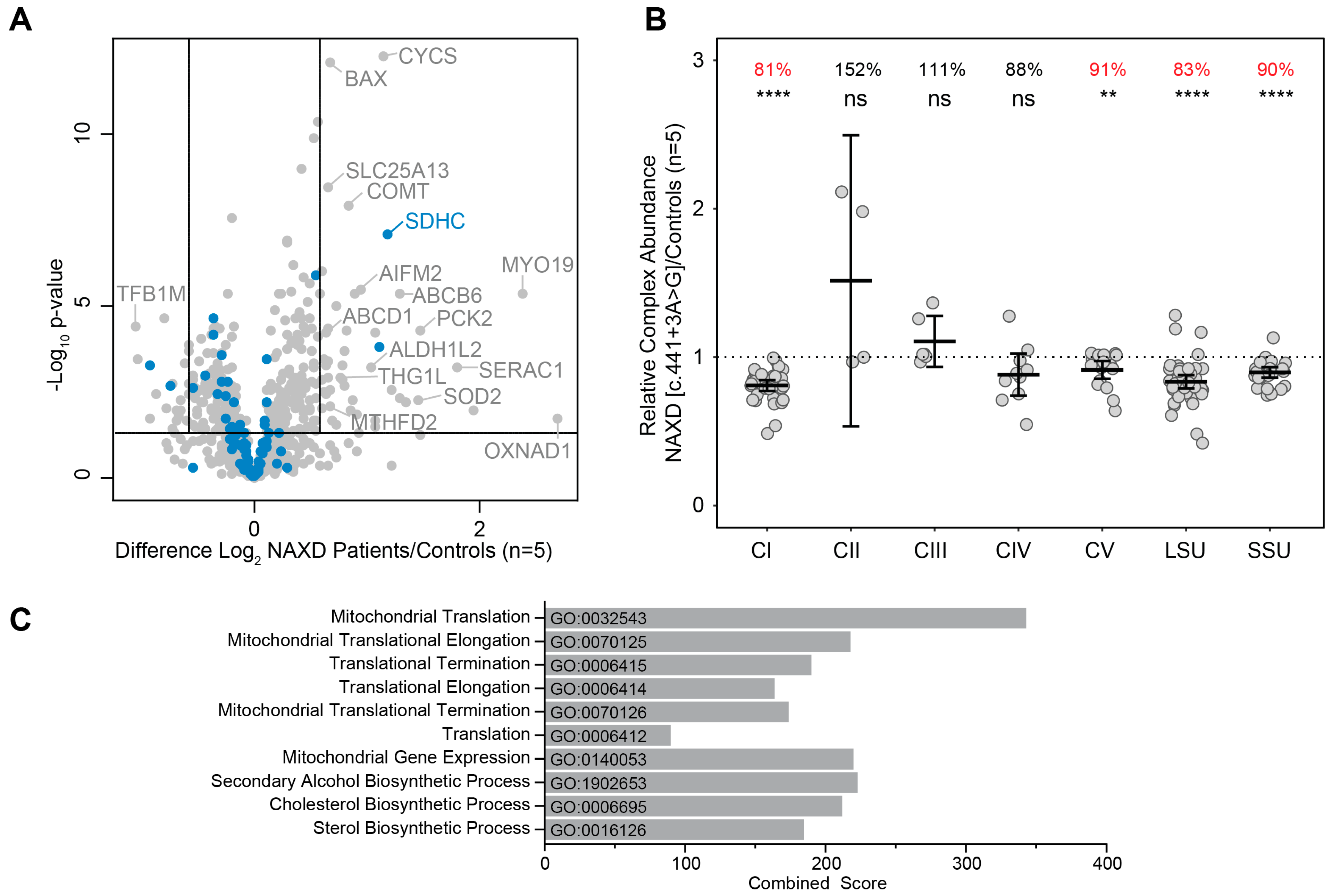 Ijms 24 03582 g003 Ijms 24 03582 g003