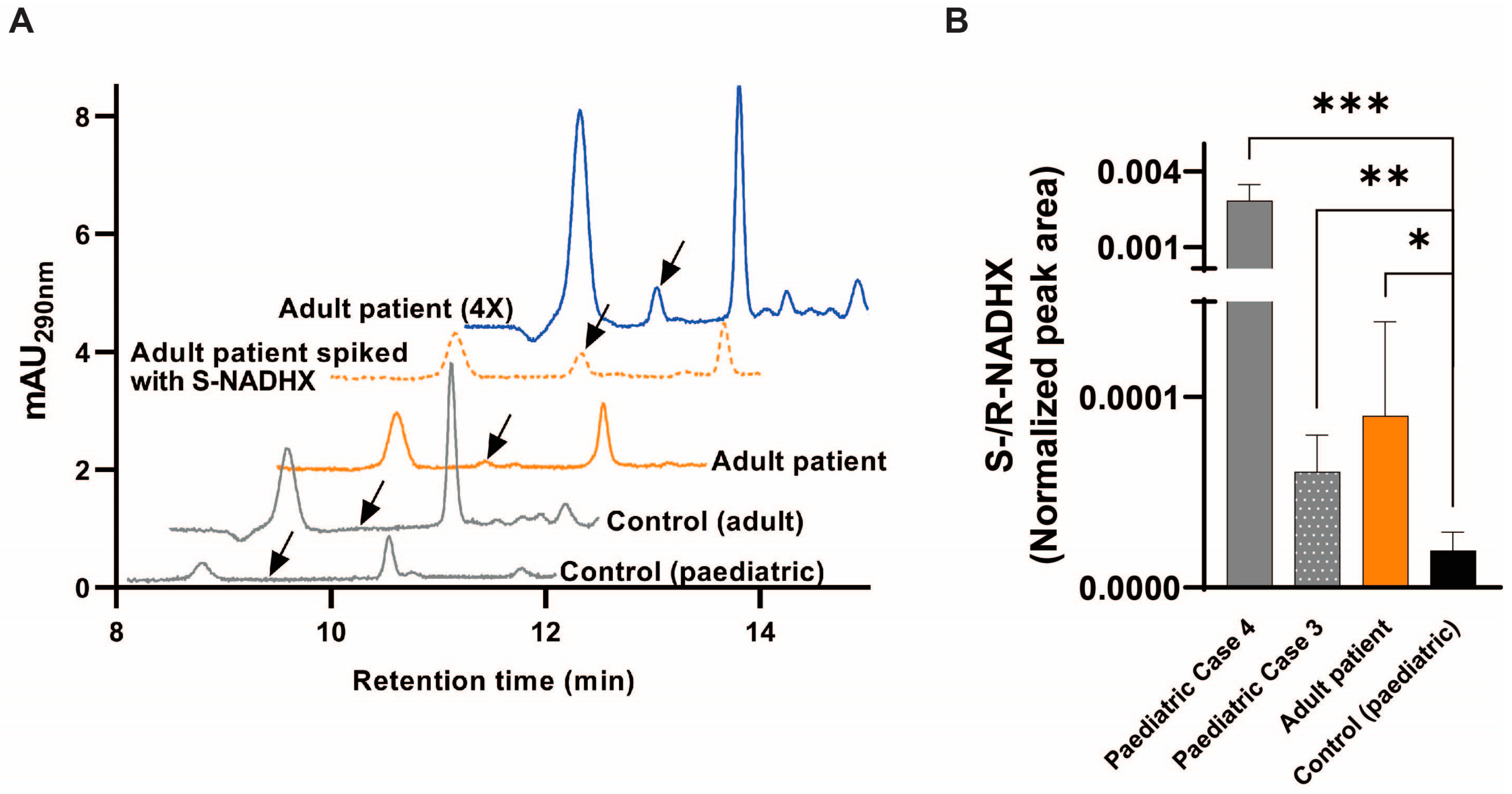 Ijms 24 03582 g004 Ijms 24 03582 g004