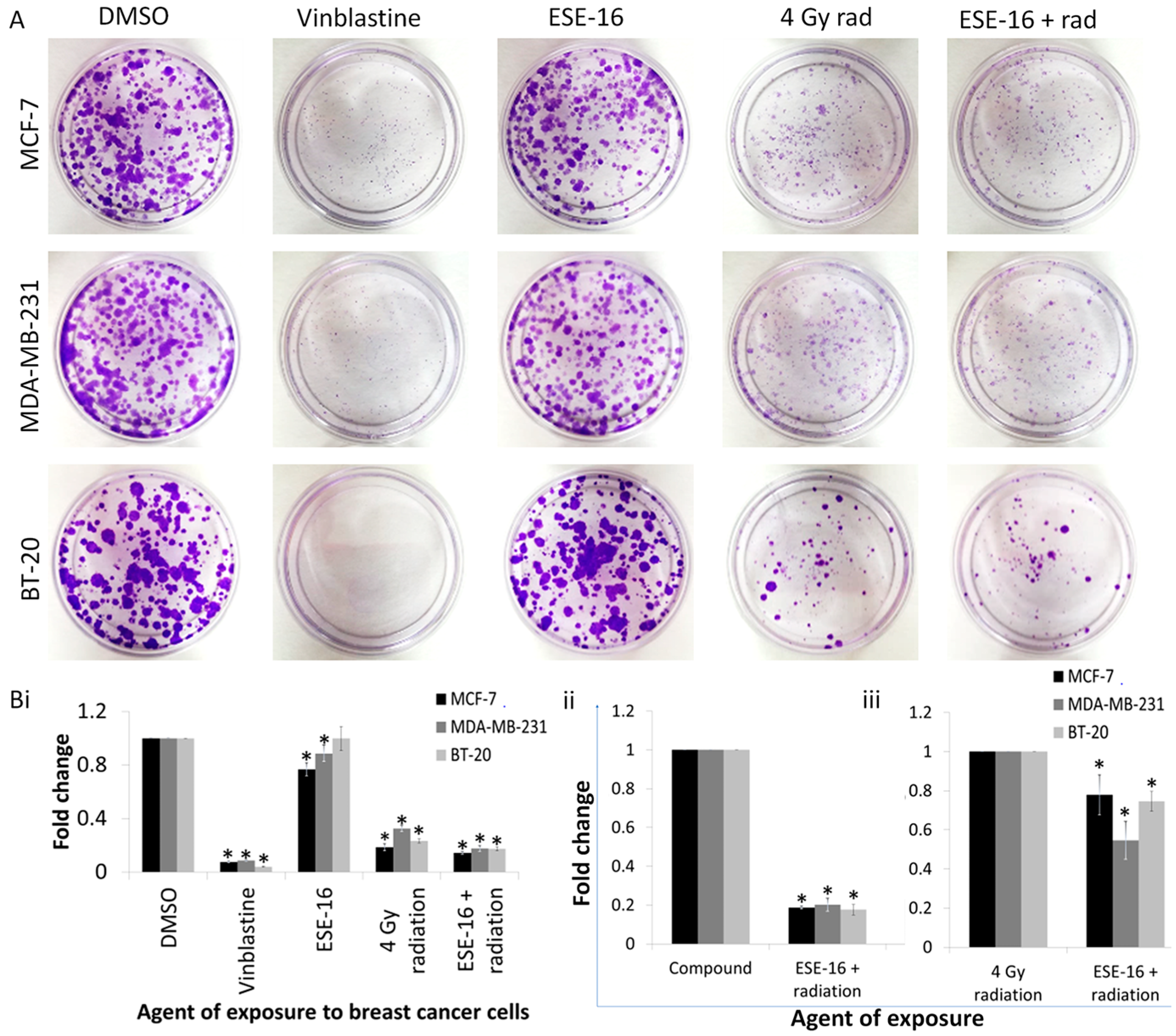 Ijms 24 03592 g004 Ijms 24 03592 g004