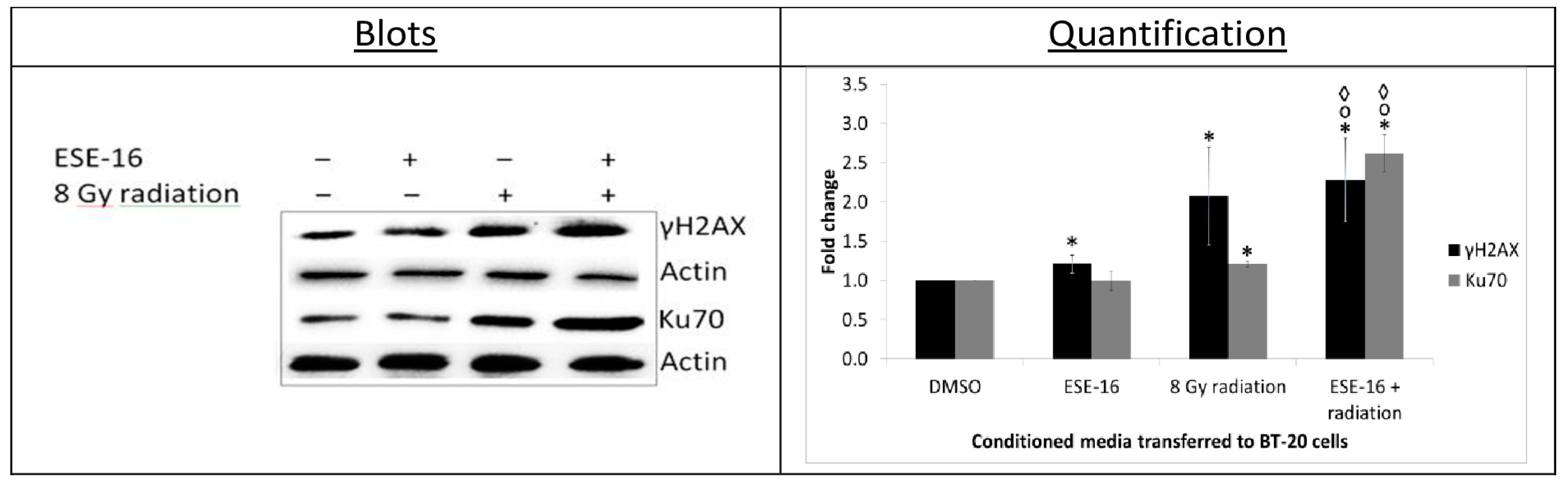 Ijms 24 03592 g008 Ijms 24 03592 g008