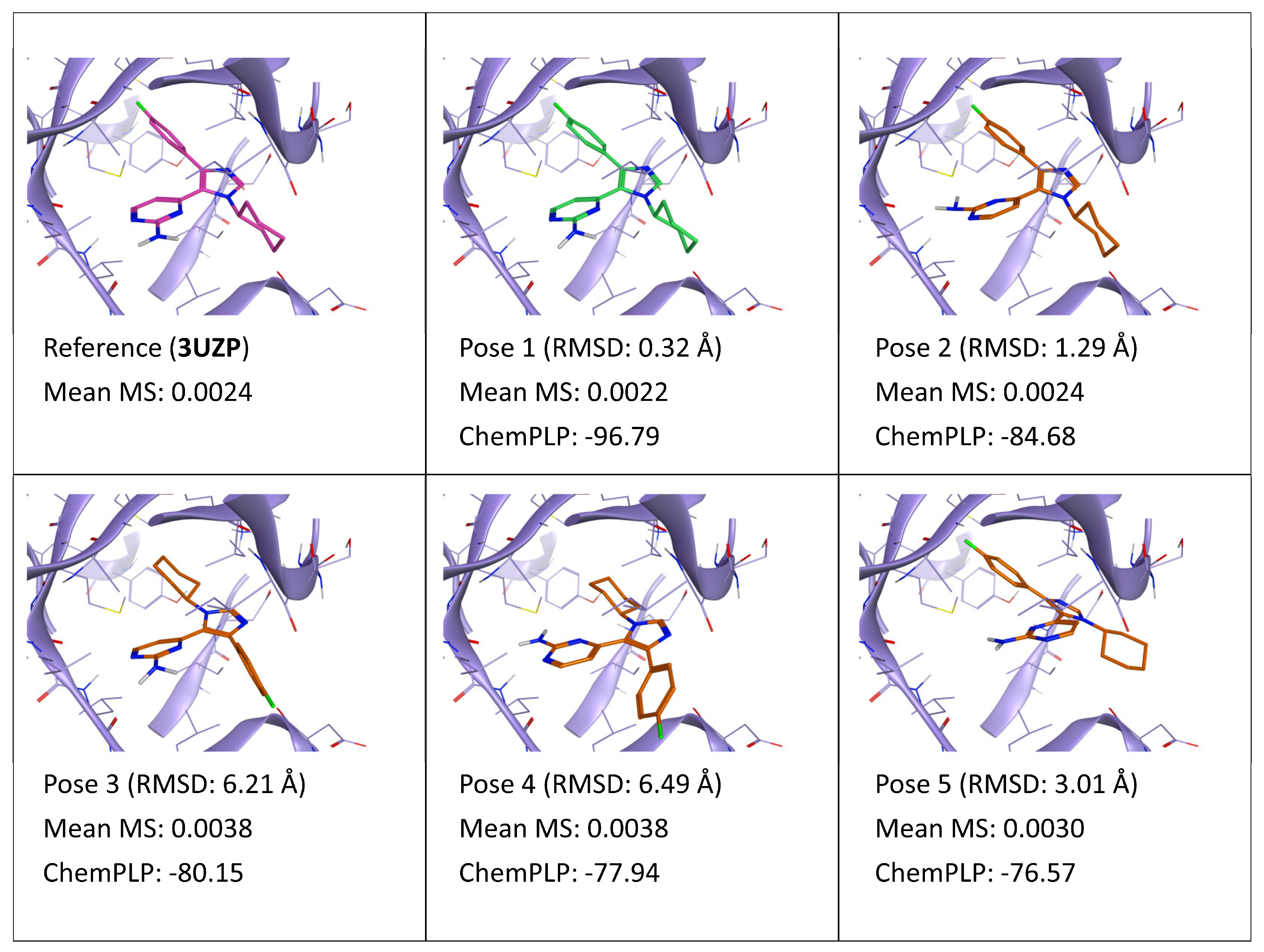 Ijms 24 03596 g001 Ijms 24 03596 g001