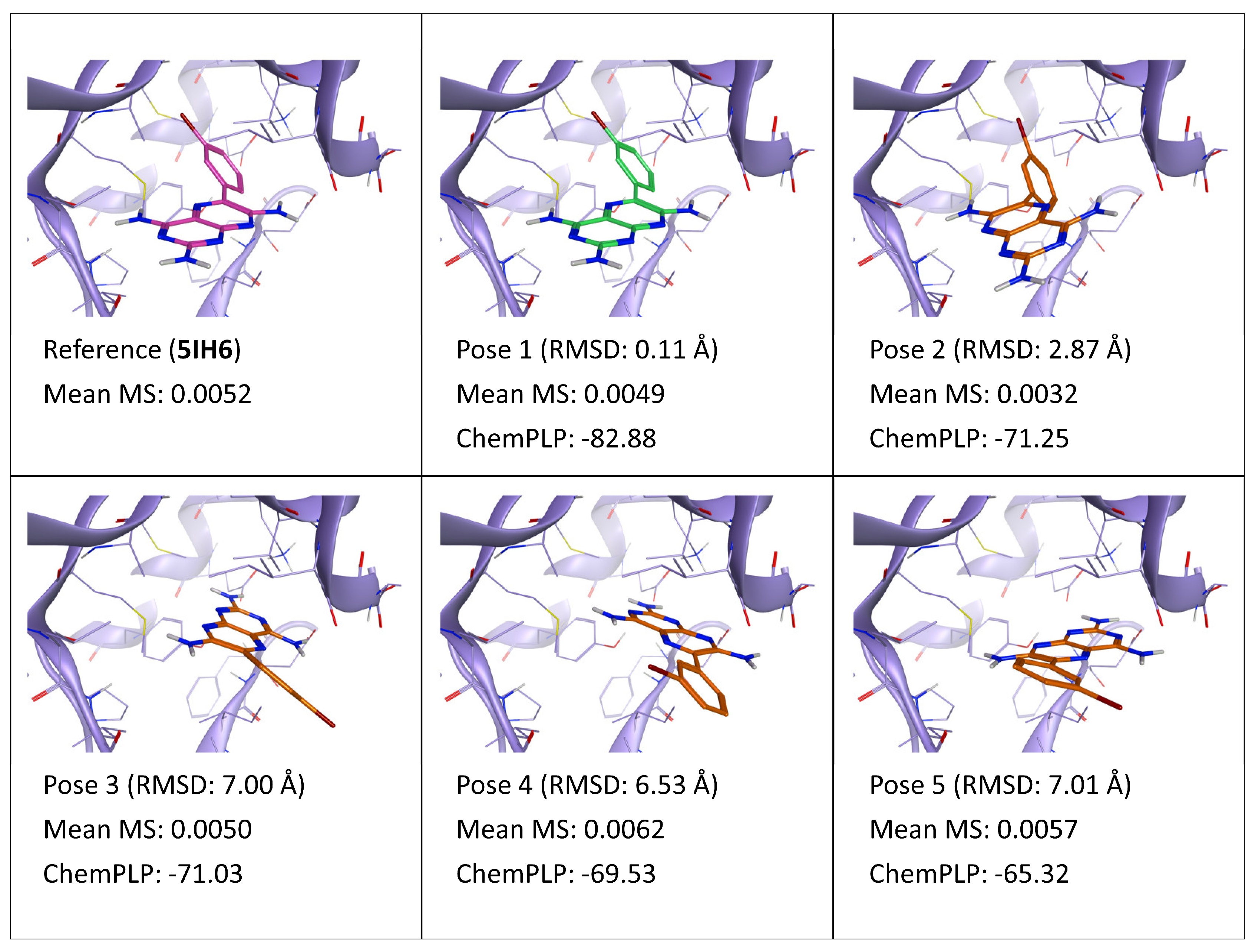 Ijms 24 03596 g003 Ijms 24 03596 g003