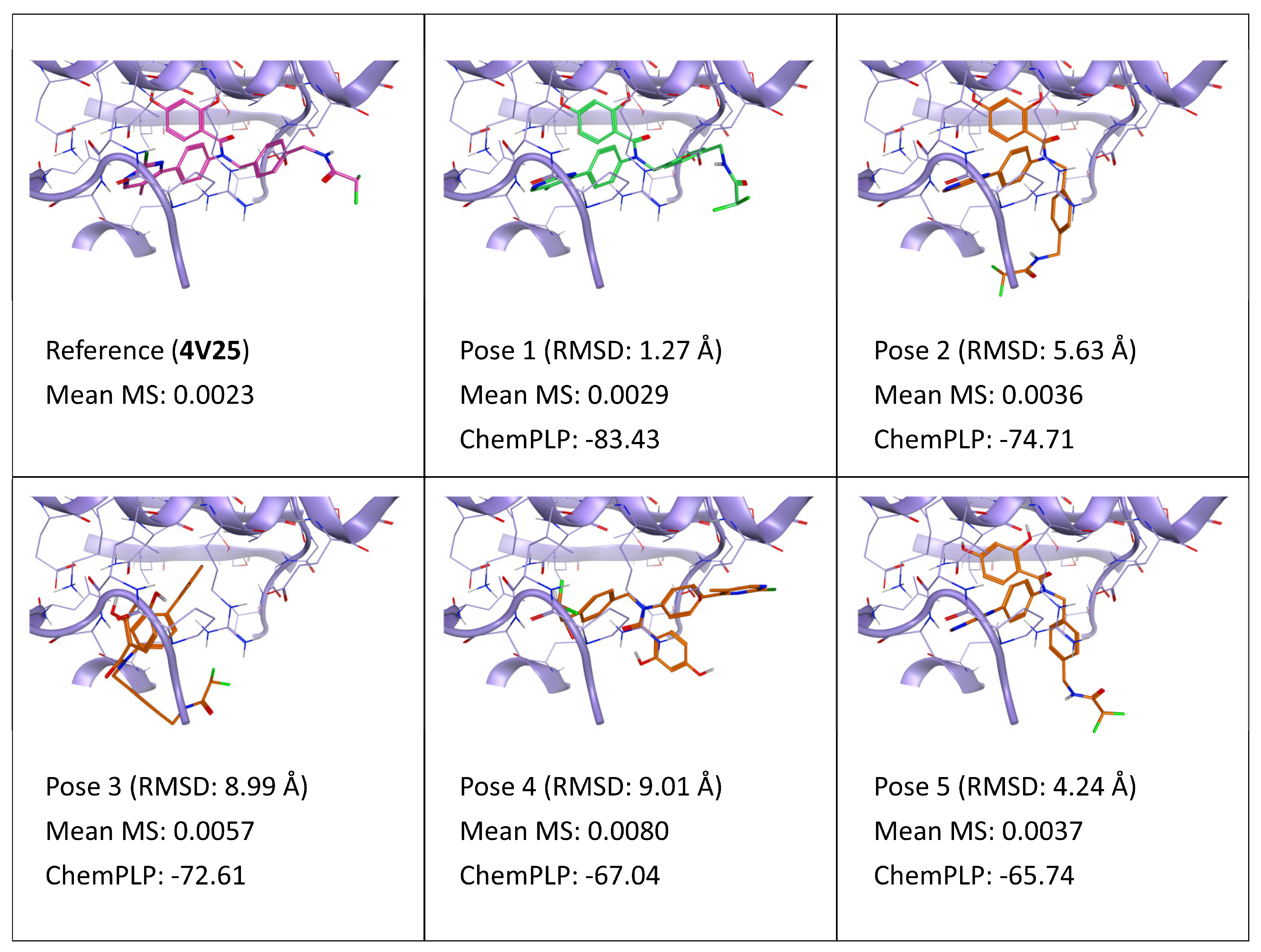 Ijms 24 03596 g007 Ijms 24 03596 g007